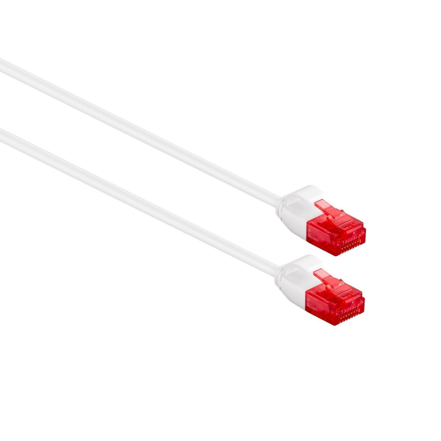 Due cavi Ethernet bianchi con connettori rossi. Lo sfondo è bianco.