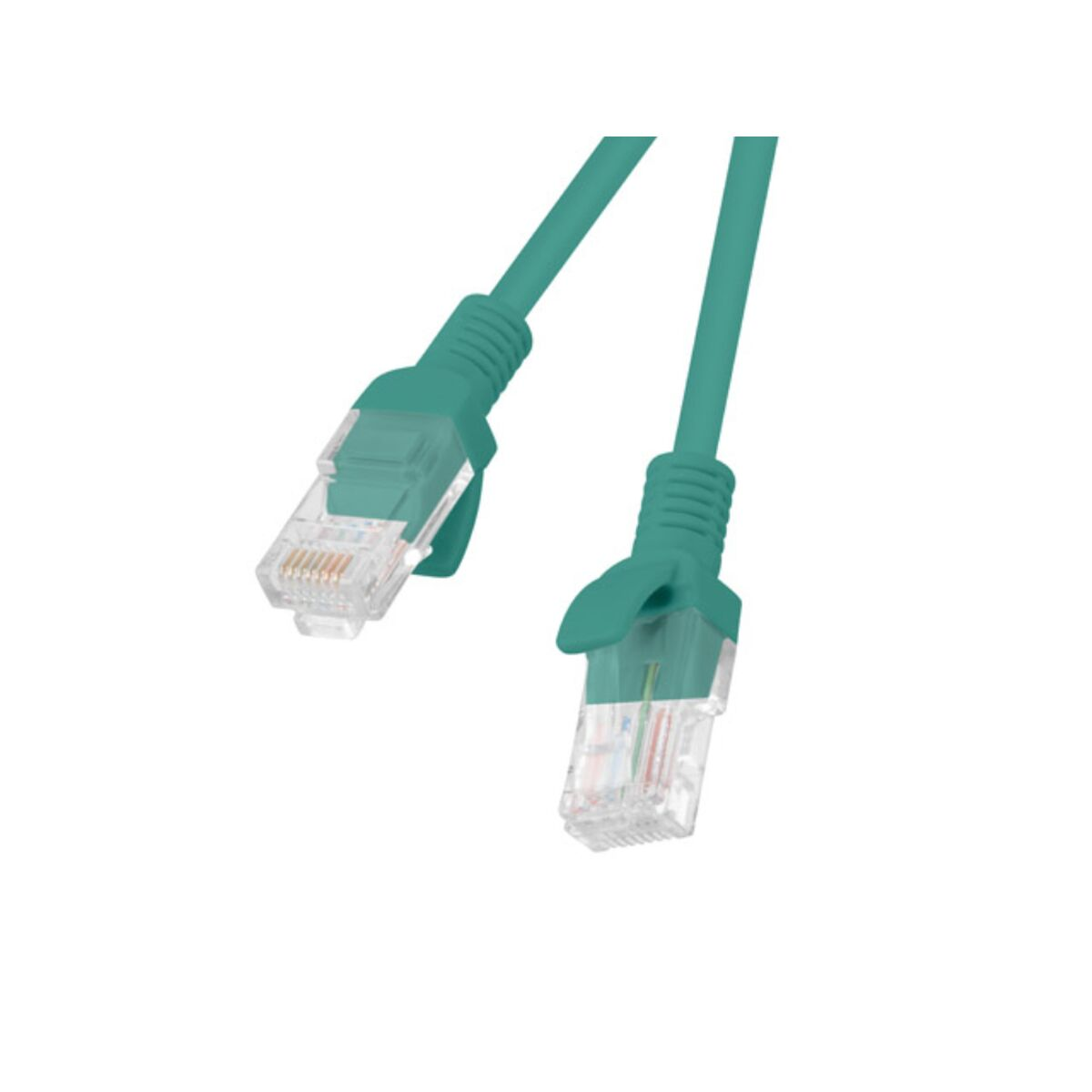 Deux câbles Ethernet sarcelle avec des connecteurs transparents, inclinés sur fond blanc.