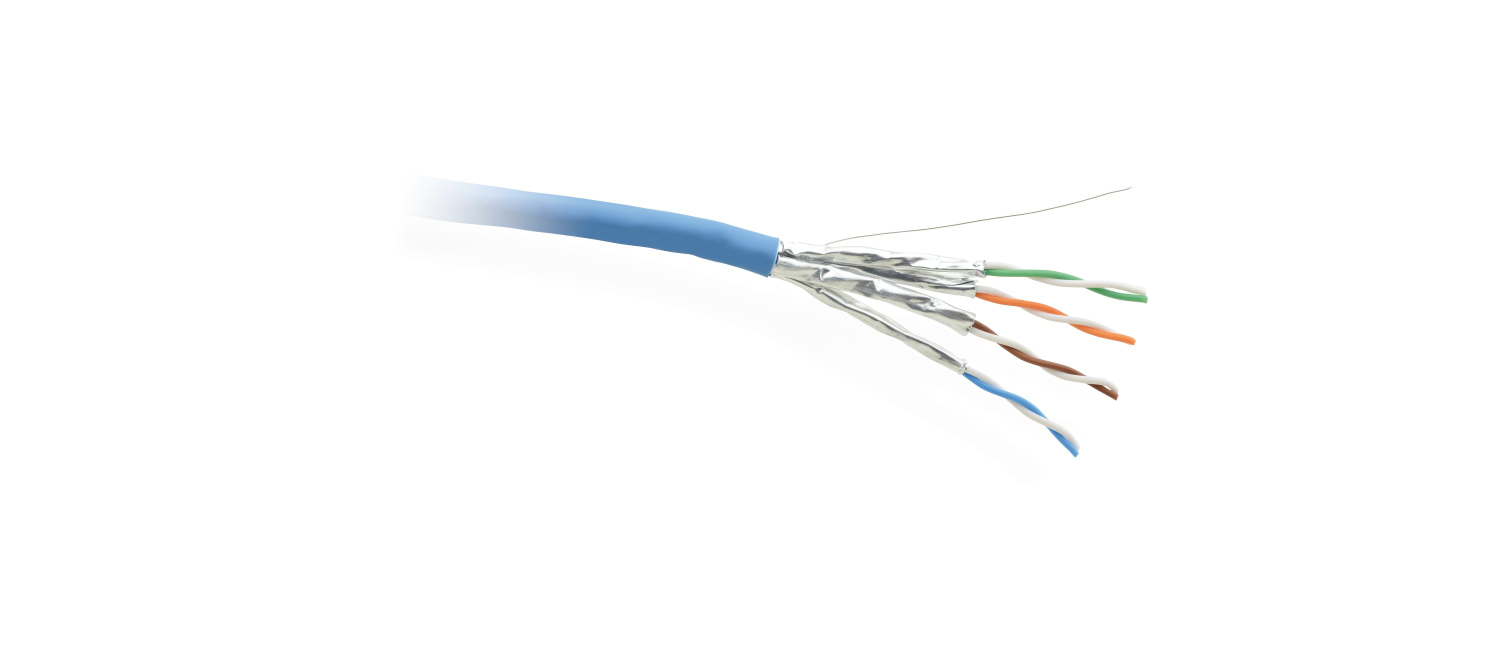 Cable de red azul con cables expuestos, primer plano.