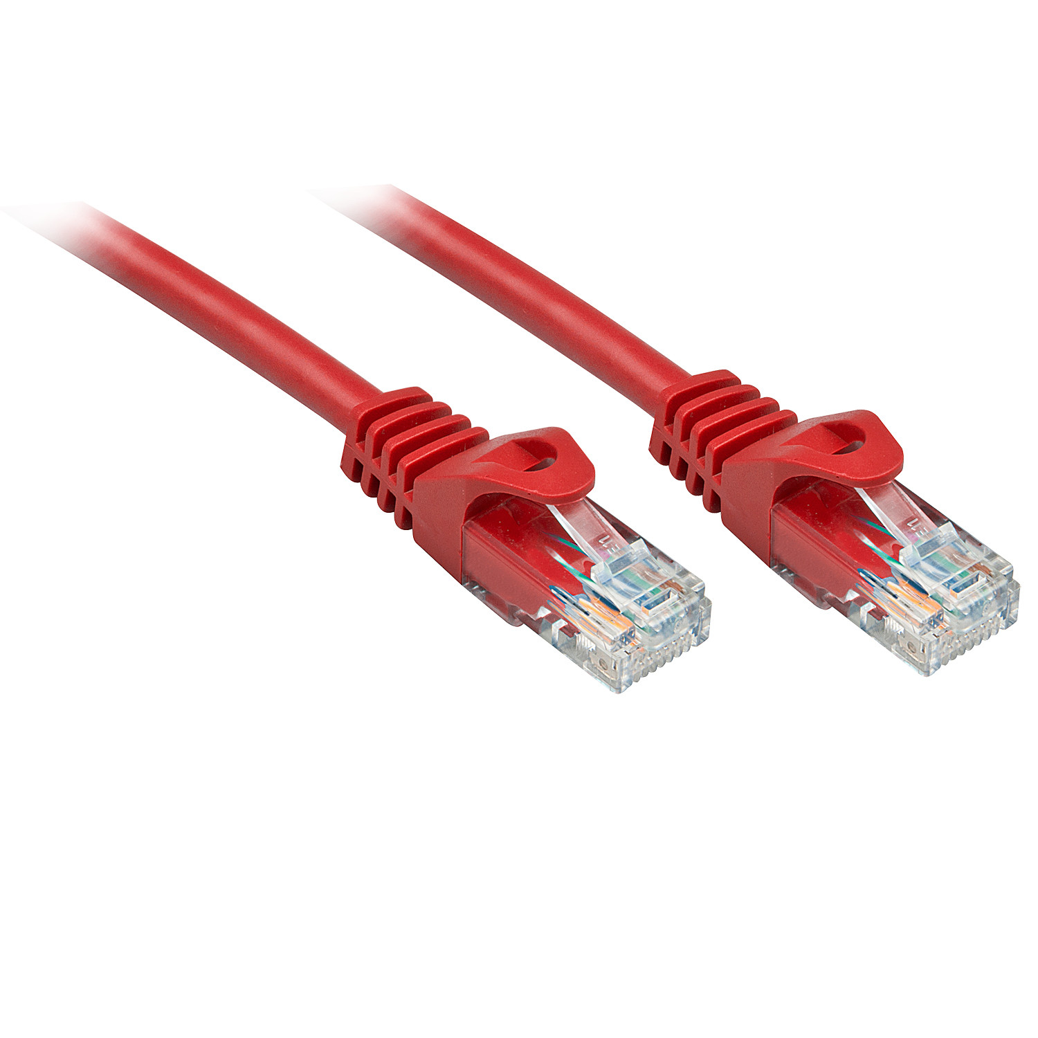 Dos cables de red rojos con enchufes transparentes.