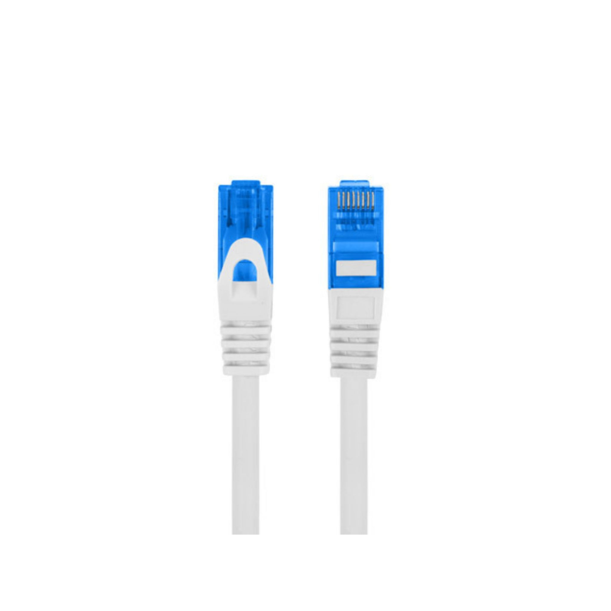 Twee witte netwerkkabelconnectoren met blauwe en transparante uiteinden.