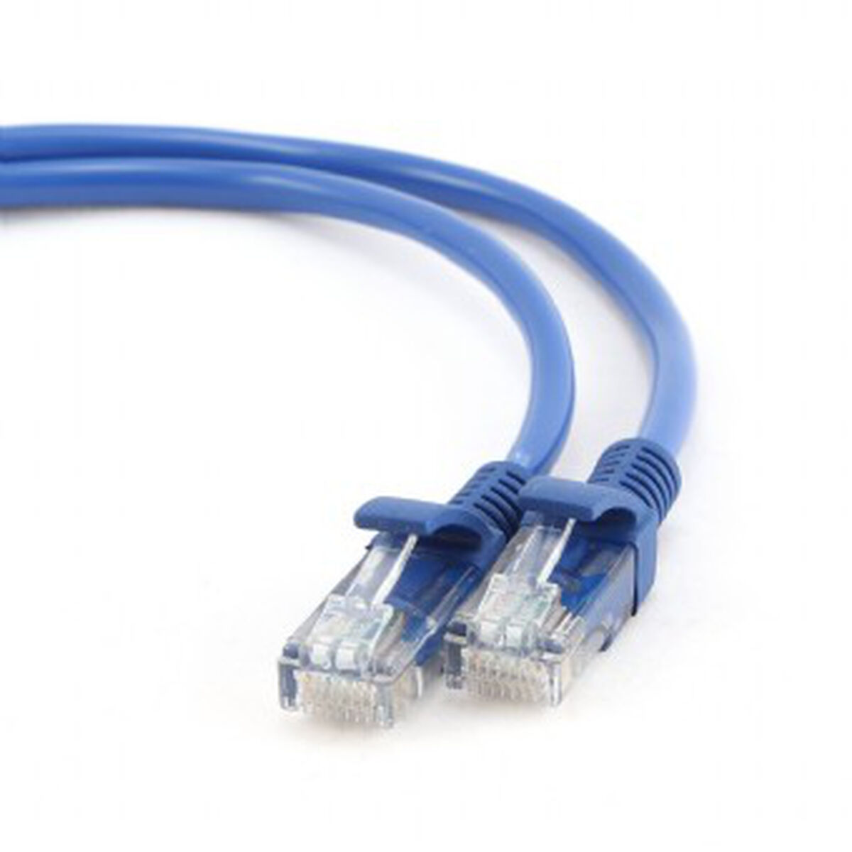 Deux câbles réseau bleus avec des connecteurs transparents, sur fond blanc.
