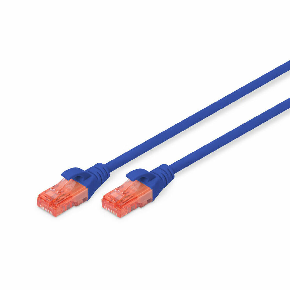 Due cavi Ethernet blu con connettori arancioni su sfondo bianco.