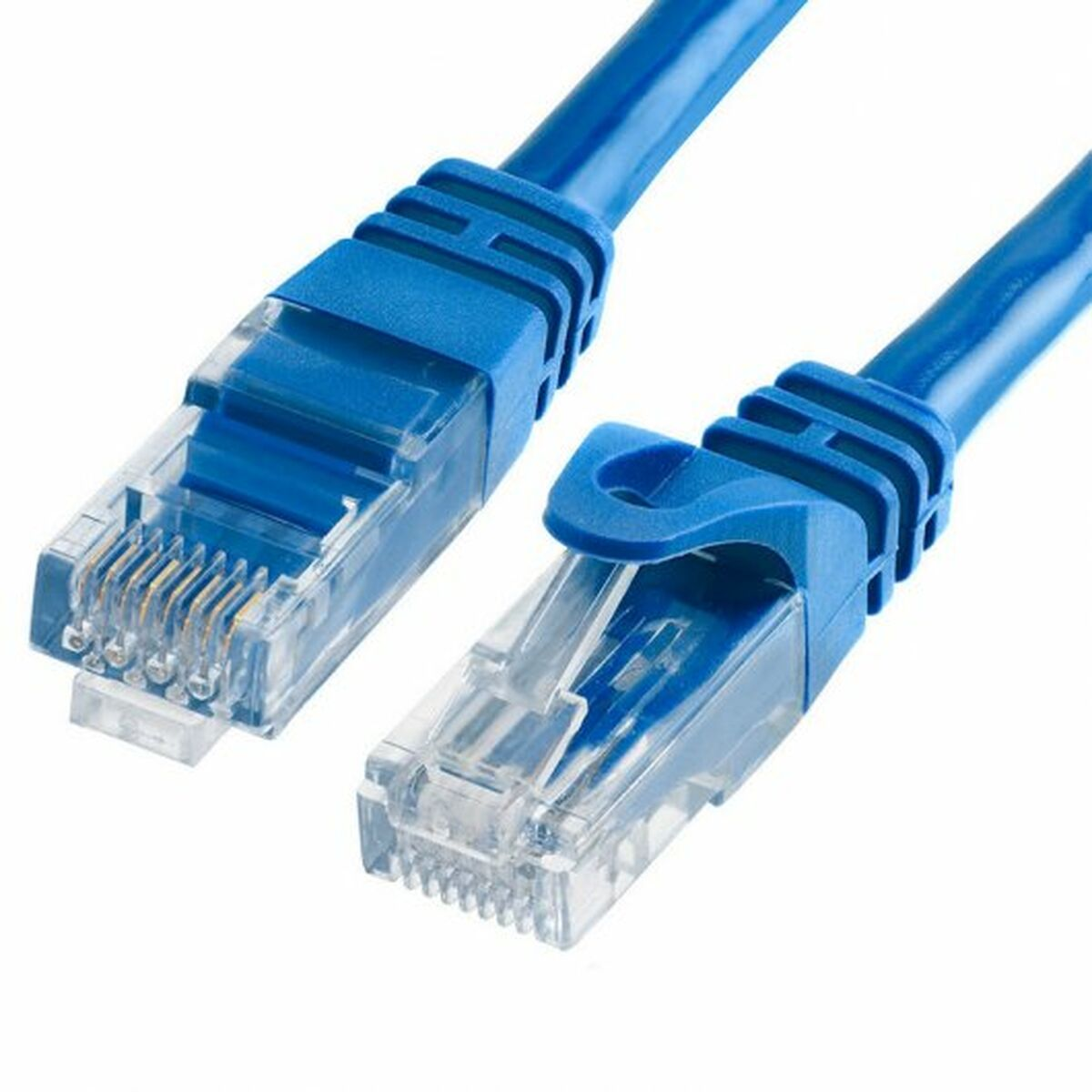 Deux câbles réseau bleus avec connecteurs transparents sur fond blanc.