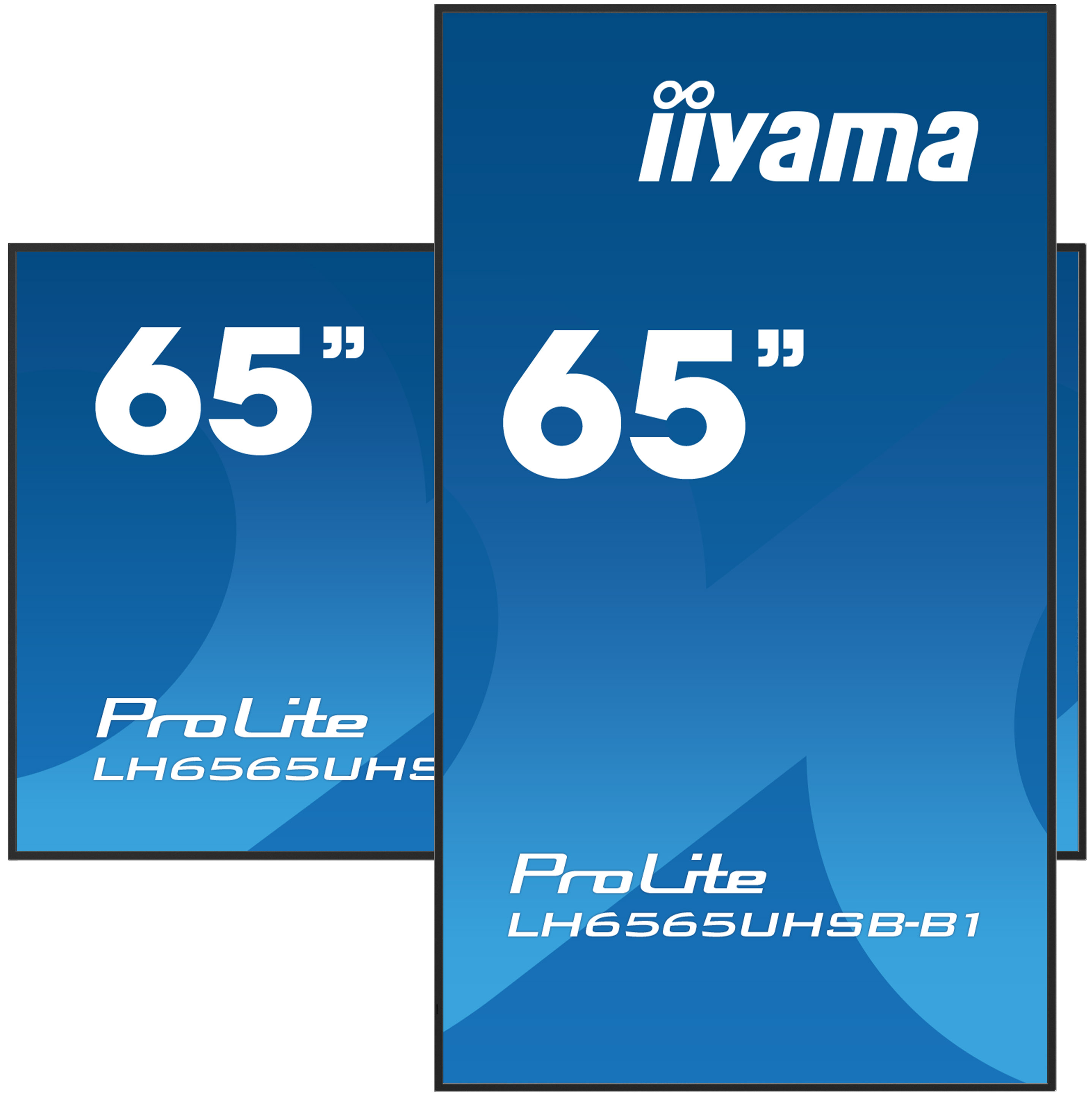 Due display iiyama con branding '65"' e ProLite LH6565UHS su sfondo blu.