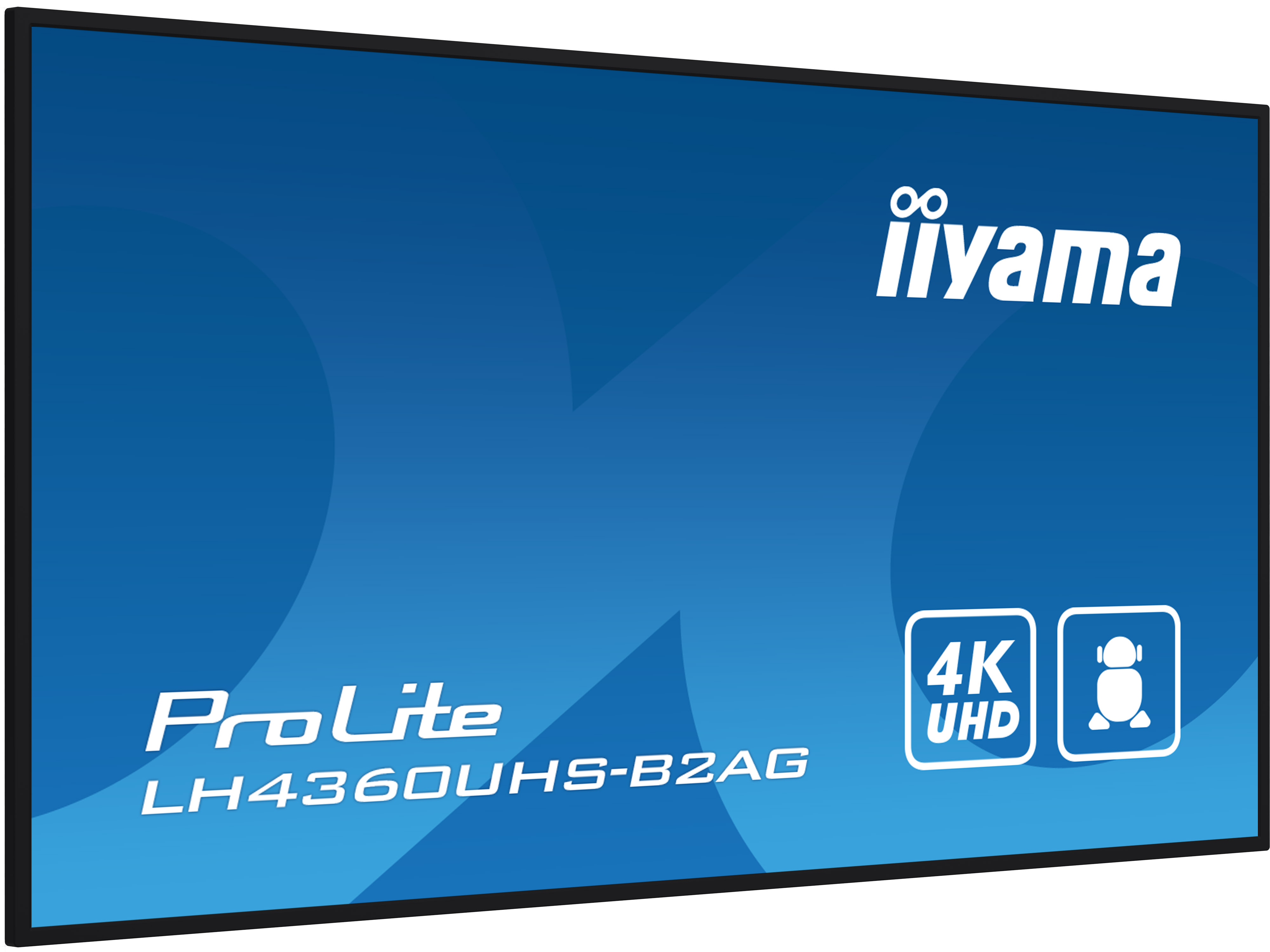 A black TV screen with the Iiyama ProLite logo and a 4K UHD icon on a blue background.