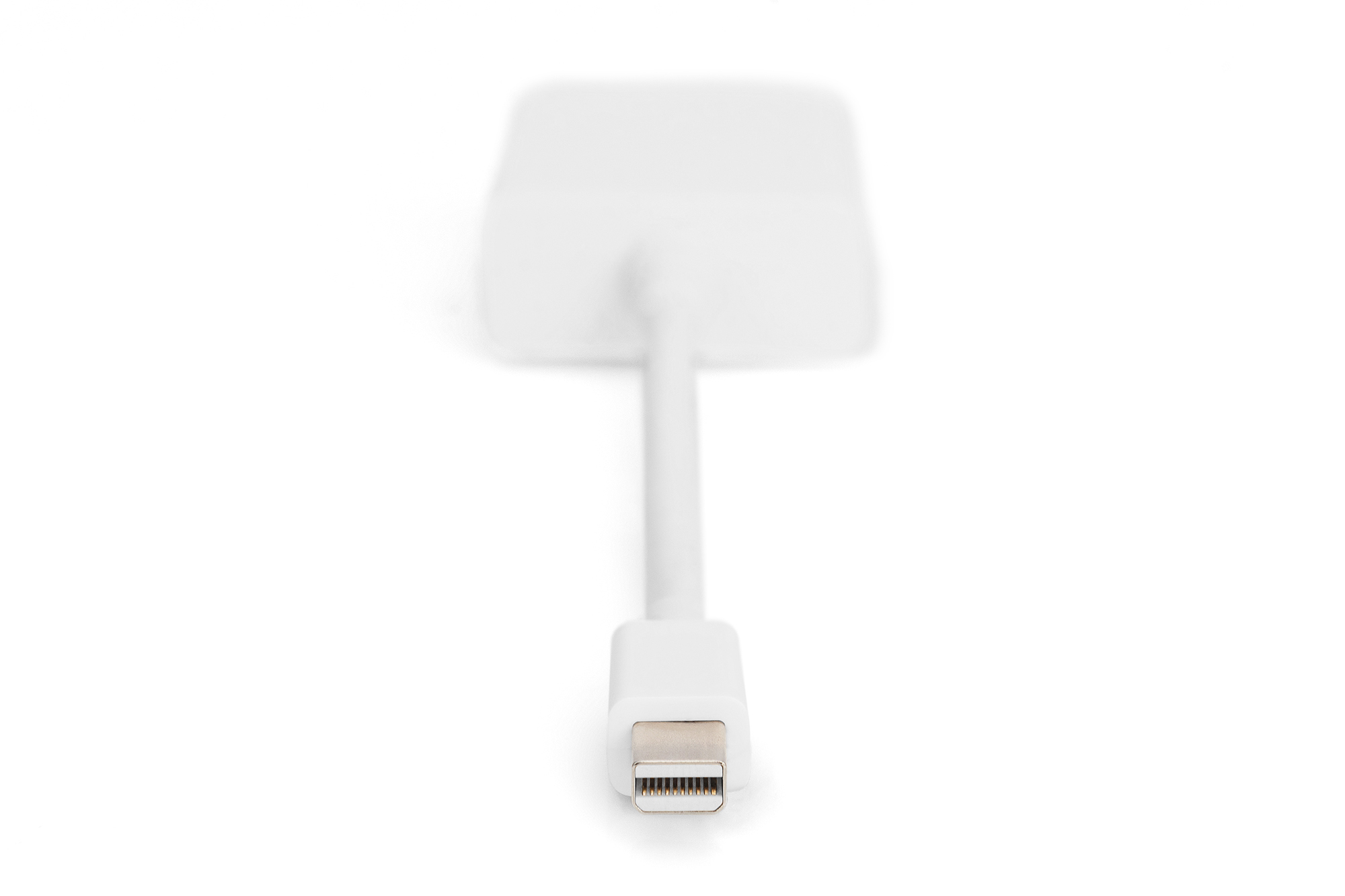 Un adaptador blanco con un cable y un conector Lightning. Fondo blanco.