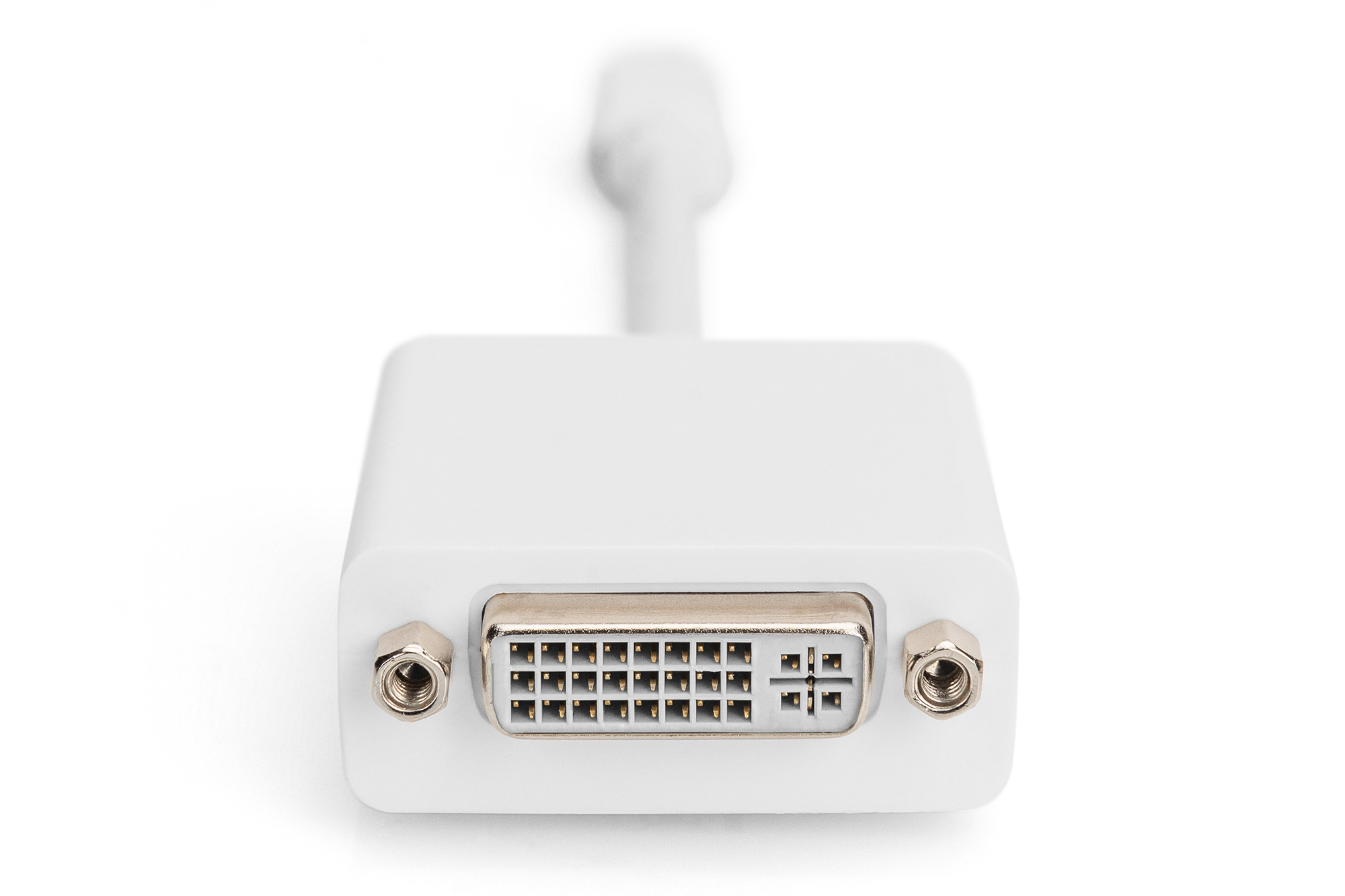 Un adaptador blanco con un conector DVI en un extremo y un cable en el otro. Fondo blanco.