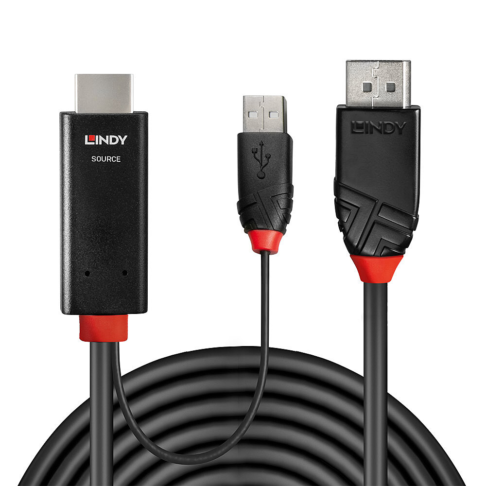 Schwarzer Lindy HDMI-zu-DisplayPort-Adapter mit USB-Kabel. Schwarzes Kabel auf weißem Hintergrund.