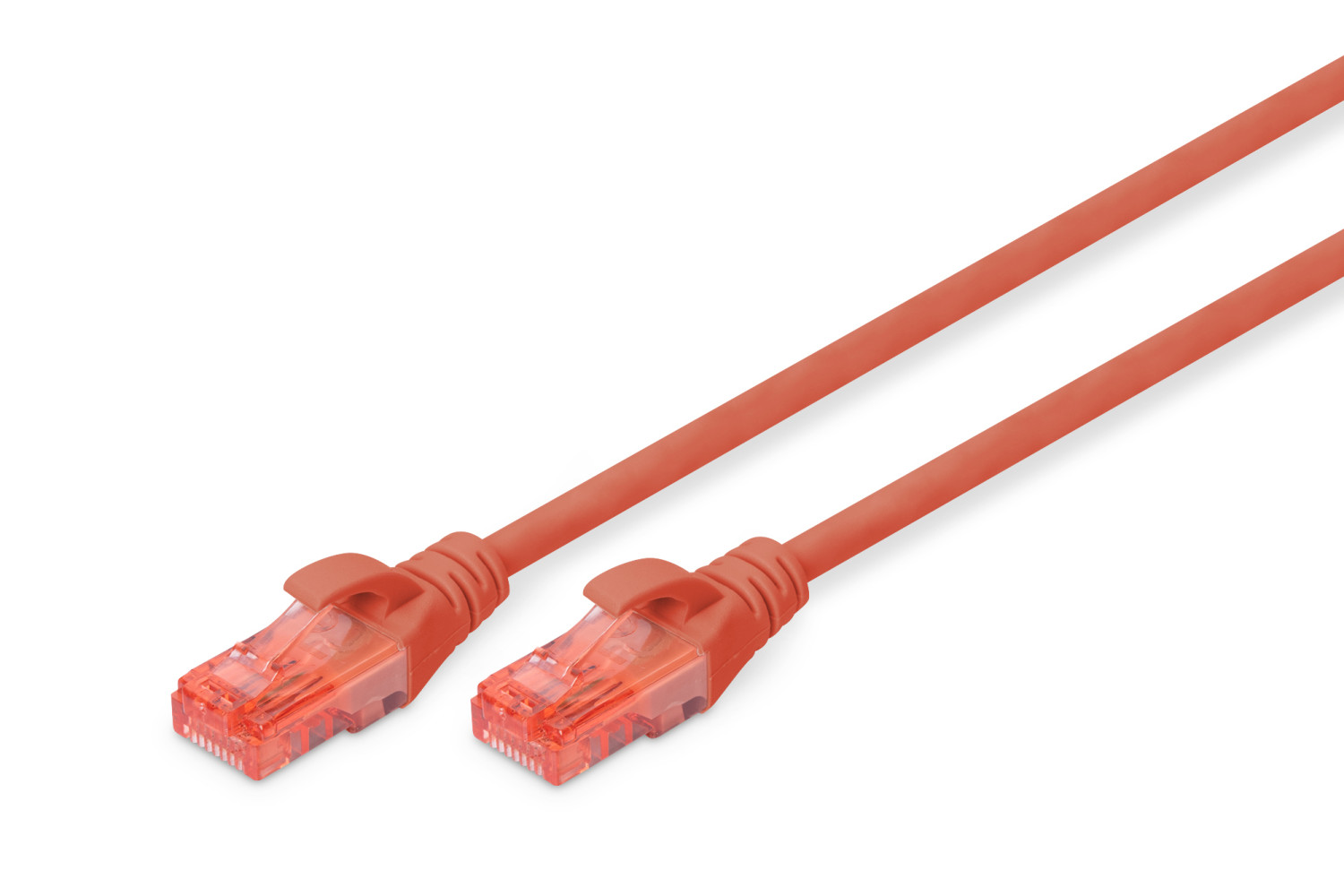 Twee oranje Ethernet kabels op wit. Connectoren zijn transparant.
