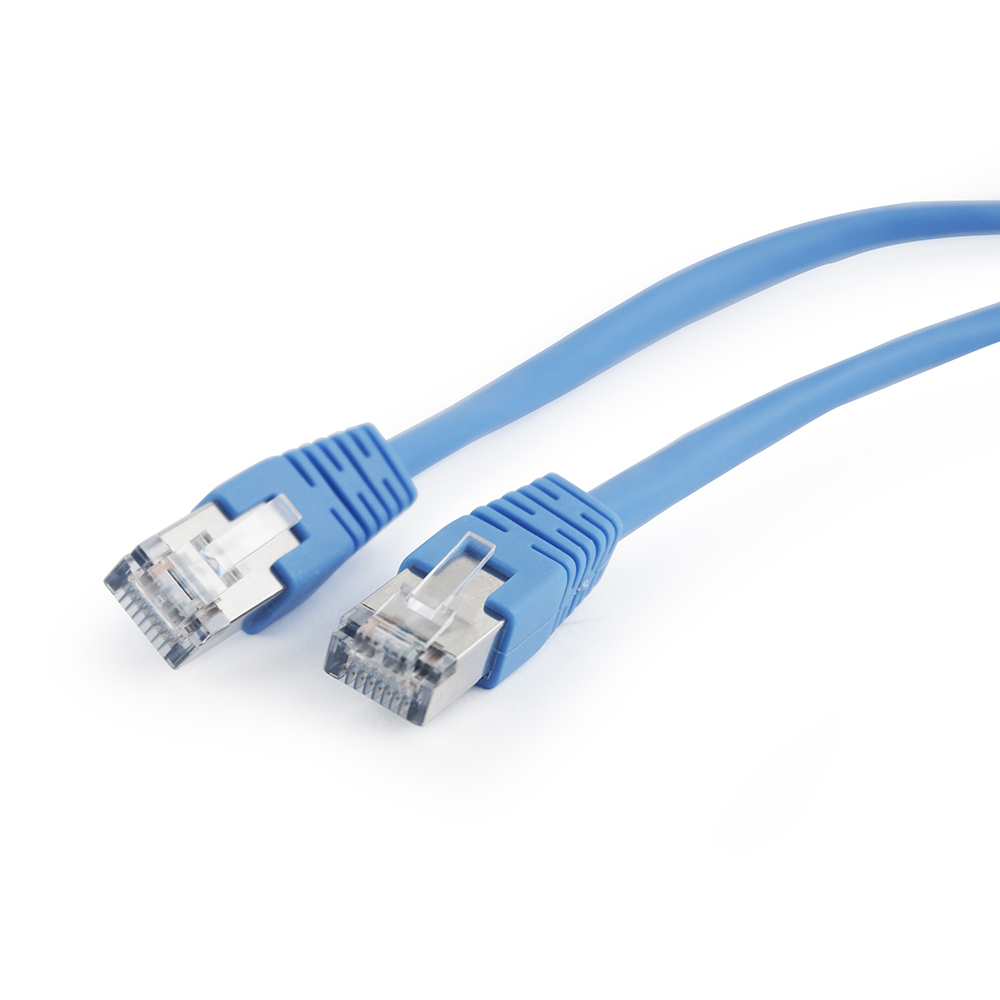 Twee blauwe Ethernet-kabels met transparante connectoren. Op een witte achtergrond. De connectoren wijzen naar links.