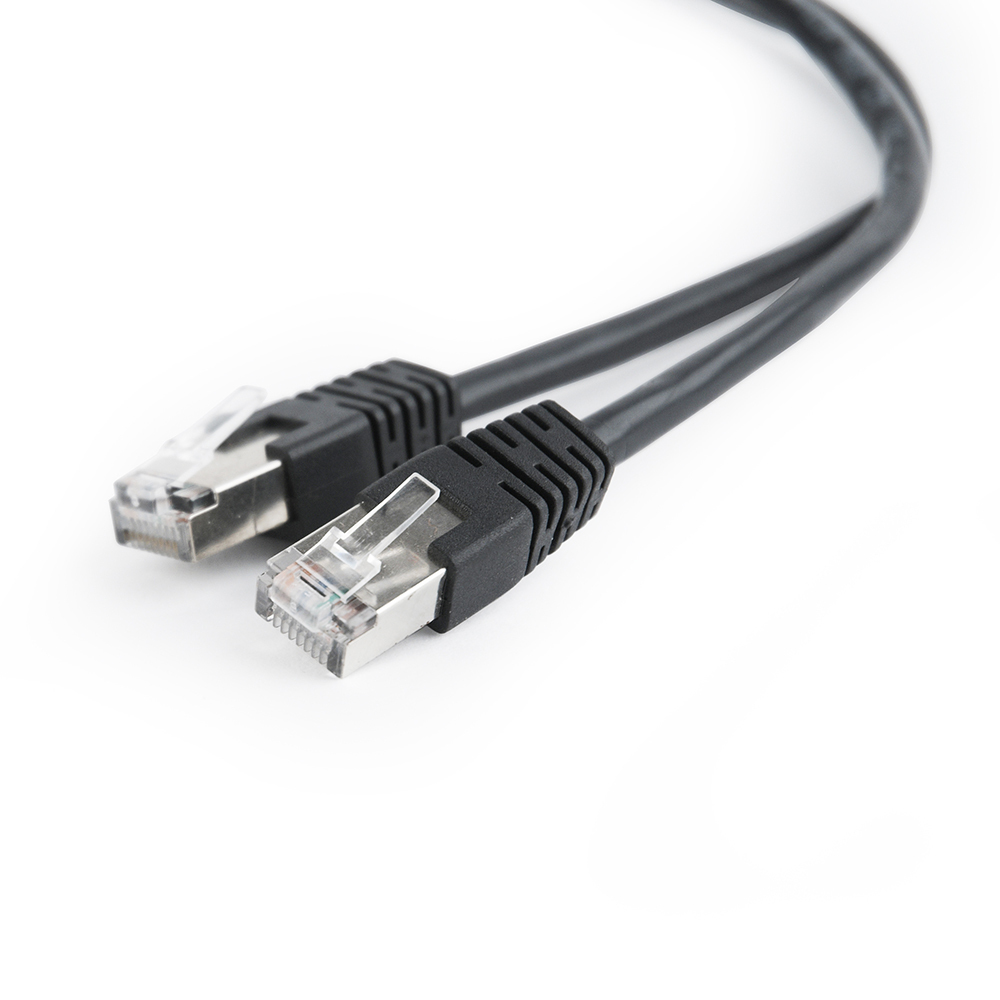Deux câbles Ethernet noirs avec connecteurs, inclinés sur fond blanc.