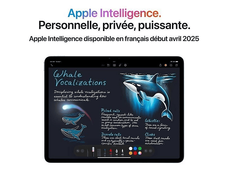 APPLE iPad Air 13