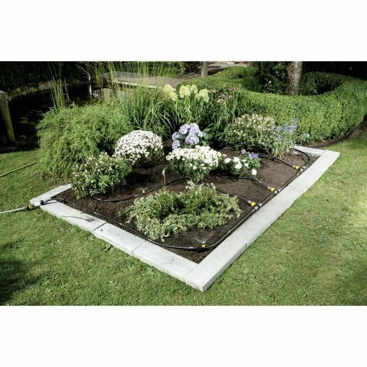 Ein Beet mit quadratischer Form, mit verschiedenen Pflanzen und einem Sprinklersystem. Grünes Gras umgibt es.