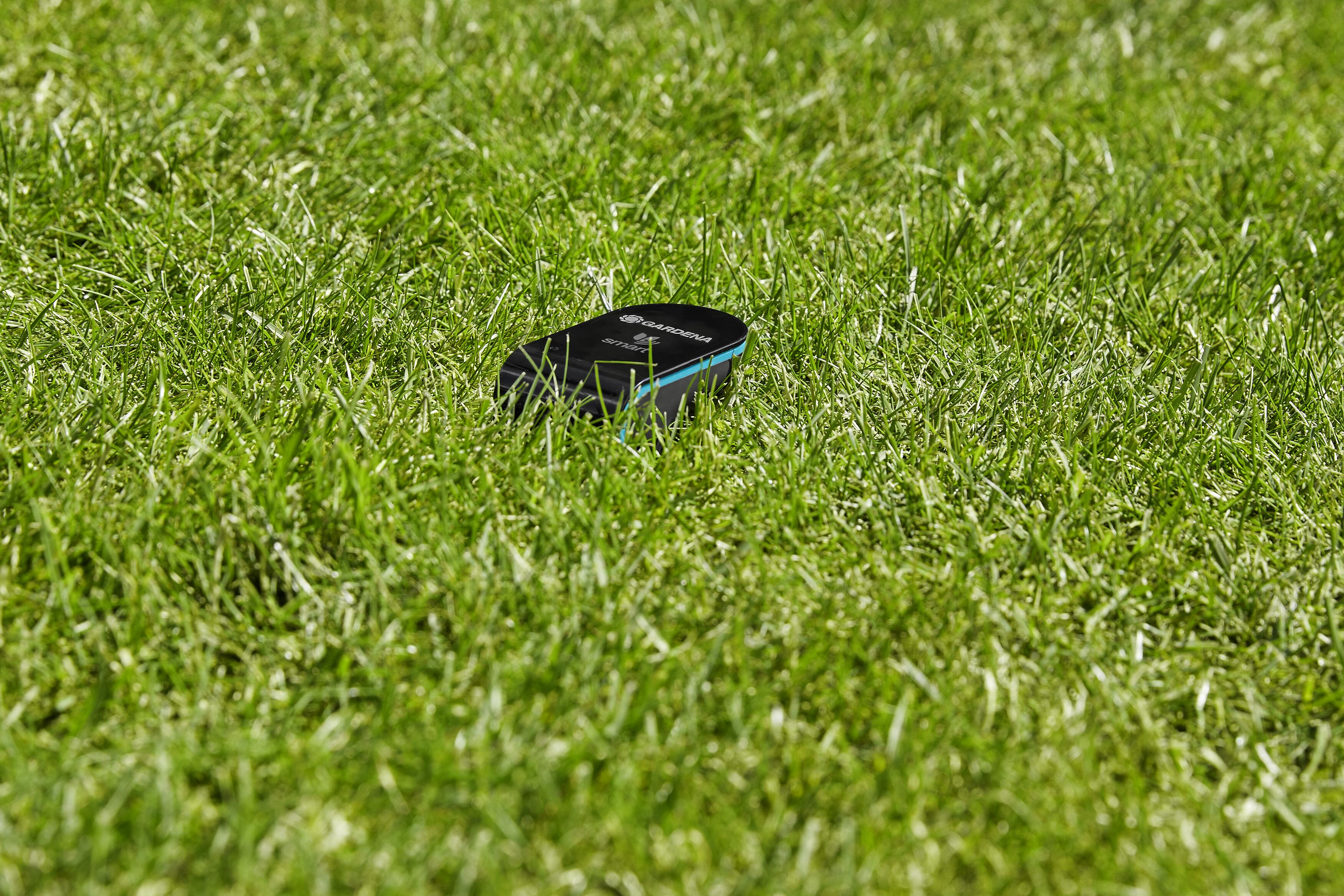 Ein schwarzes GARDENA Smart System Gerät liegt im grünen Gras. Das Gras ist im Fokus.