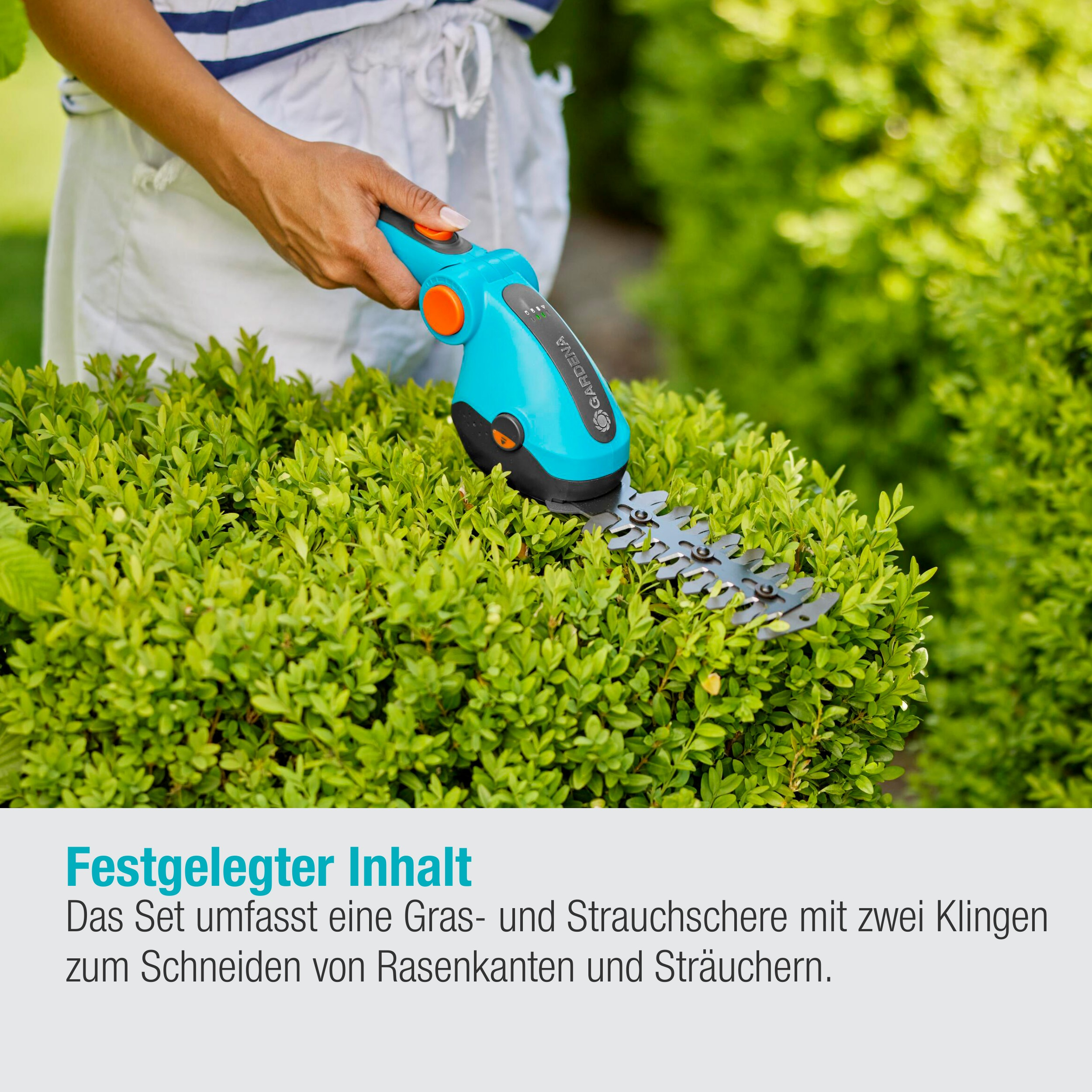 Eine Person schneidet einen grünen Busch mit einem blau-schwarzen Gartengerät.