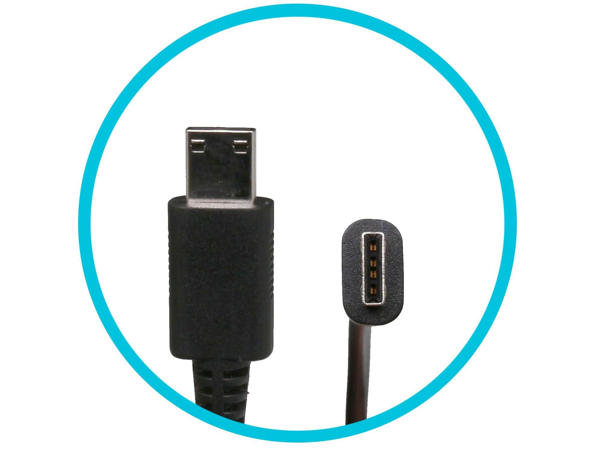 Nahaufnahme eines schwarzen Kabels mit einem USB-C-Anschluss und einem kleineren, abgewinkelten Anschluss.