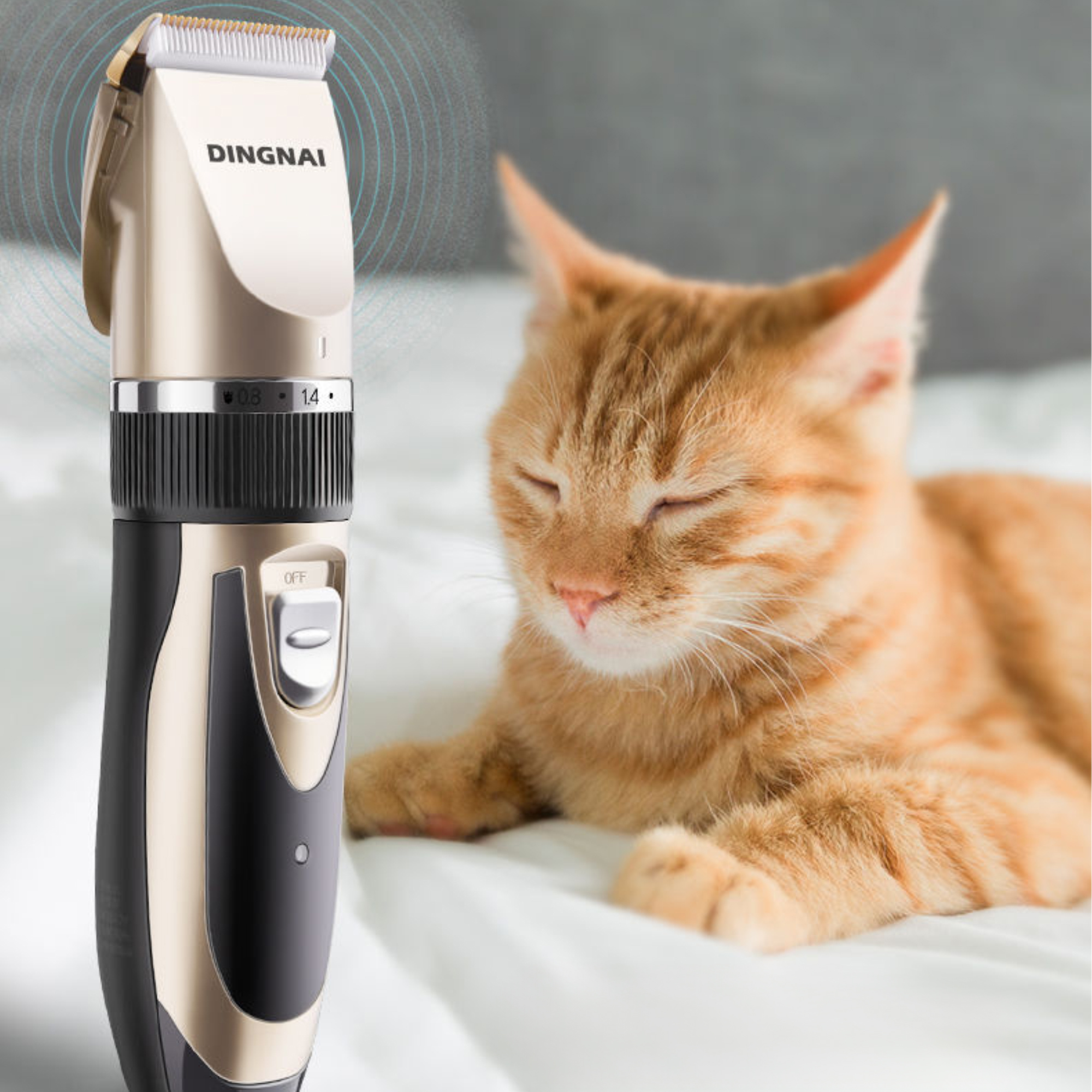 Ein goldener und schwarzer Haustier-Haarschneider neben einer entspannten orangefarbenen Katze.