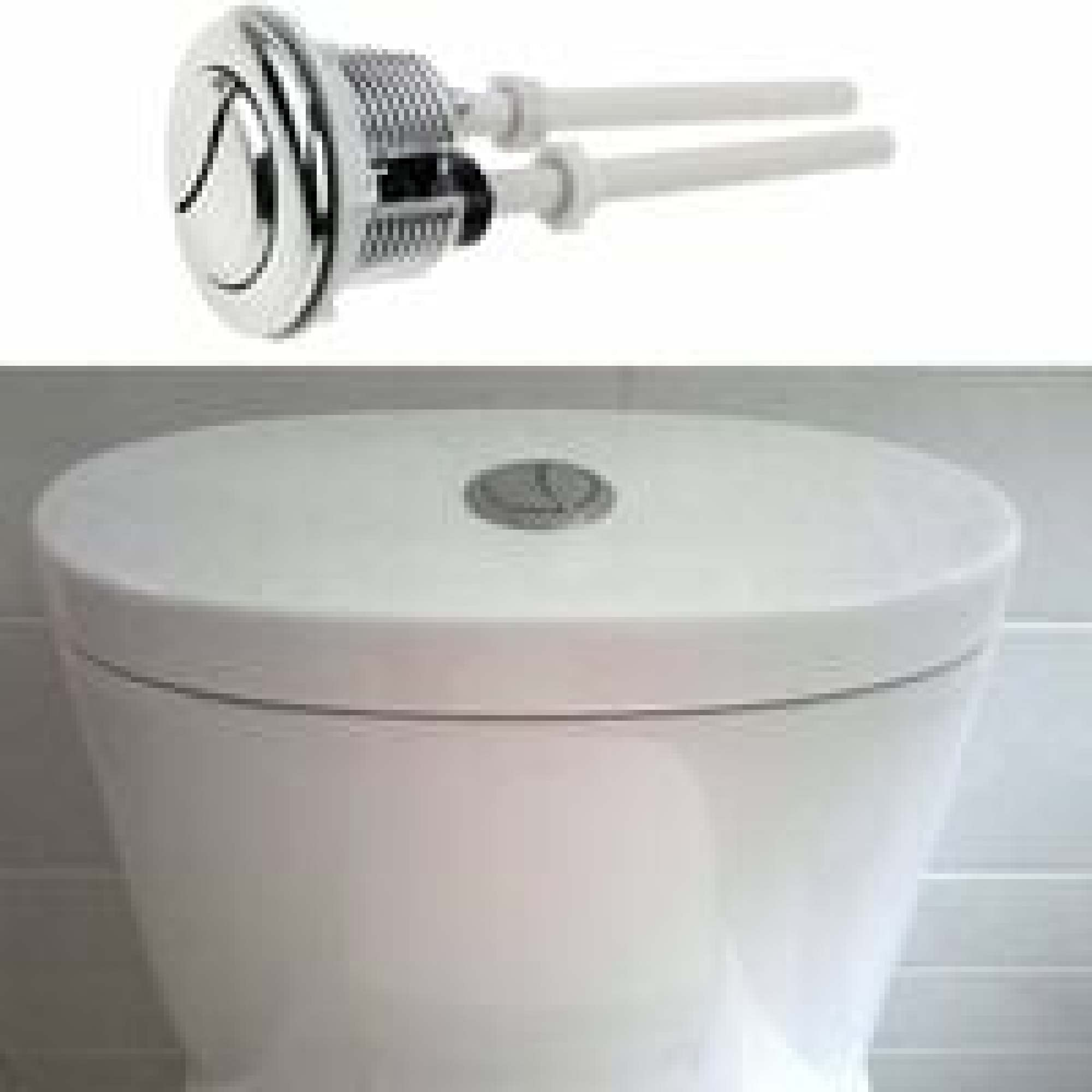 Eine weiße Toilettenschüssel mit Spülknopf und einem chromfarbenen Knopf oben drauf.