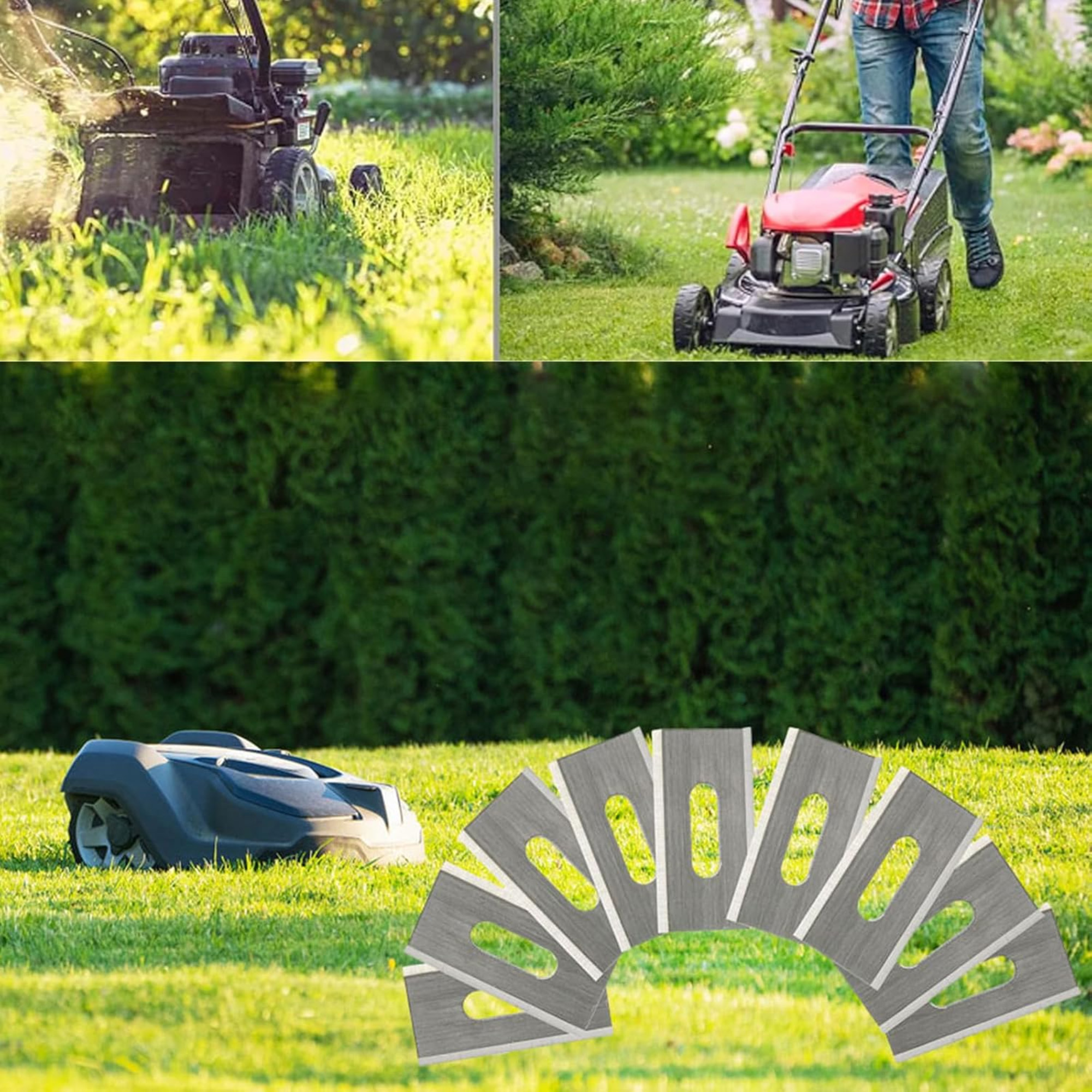 Rasenmäher auf Gras und Klingen.