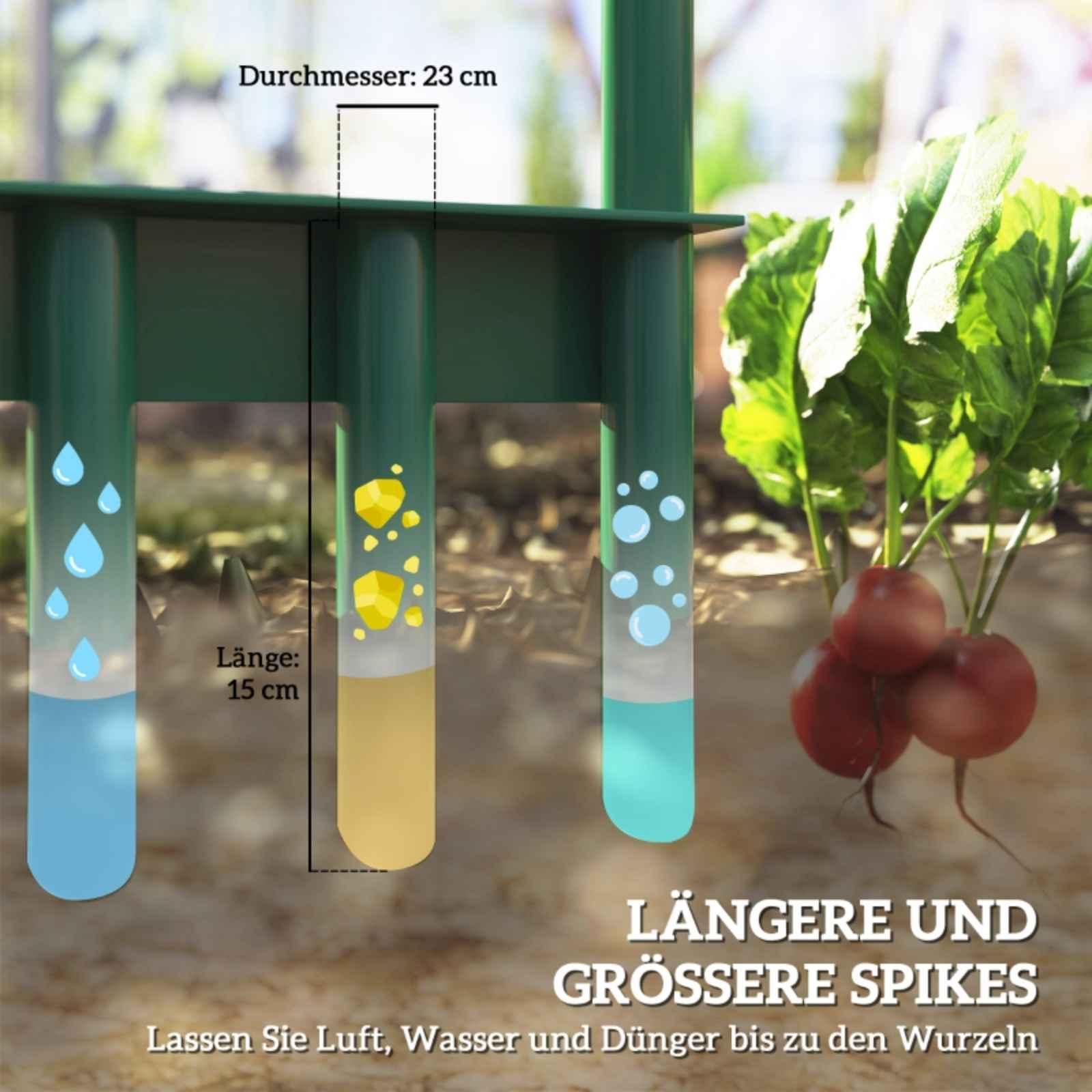 Diagramm von Wurzeln mit Wasser, Dünger und Luft. Radieschen gezeigt. Grünes Werkzeug.