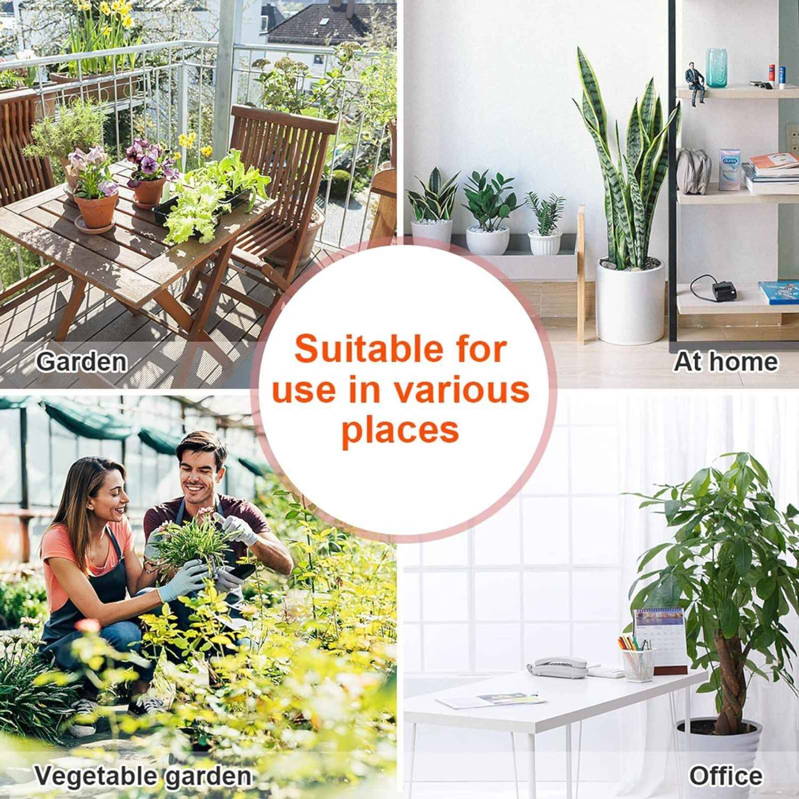 Collage, das verschiedene Umgebungen zeigt, in denen Pflanzen verwendet werden: Balkon, Regal, Garten, Gemüsegarten und Büro.