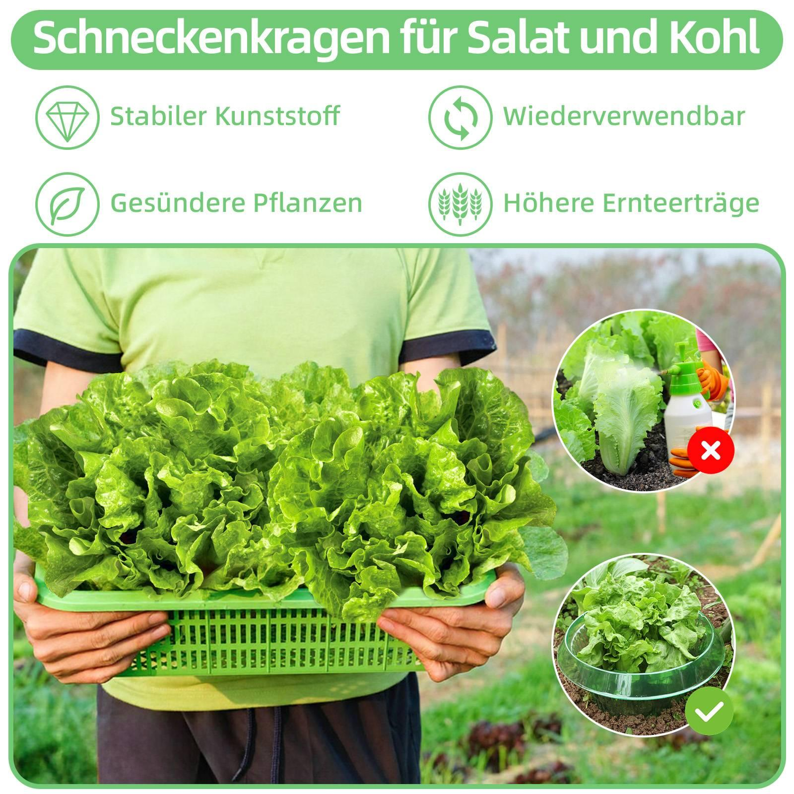 Eine Person hält einen Korb mit Salat mit Diagrammen und Text zur Schneckenbekämpfung.