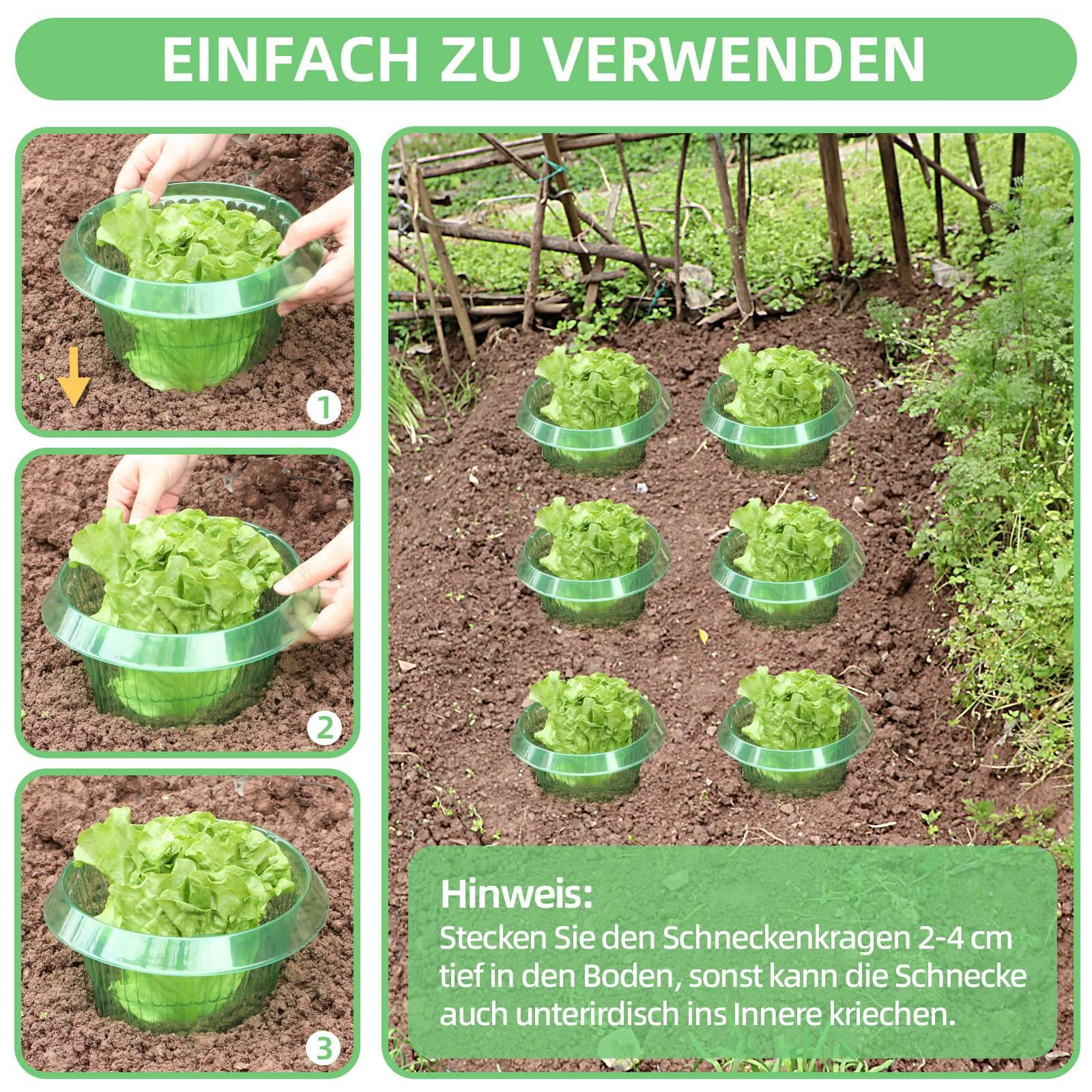 Diagramme, die zeigen, wie man Salat in grünen Kunststoffbehältern in den Boden pflanzt.