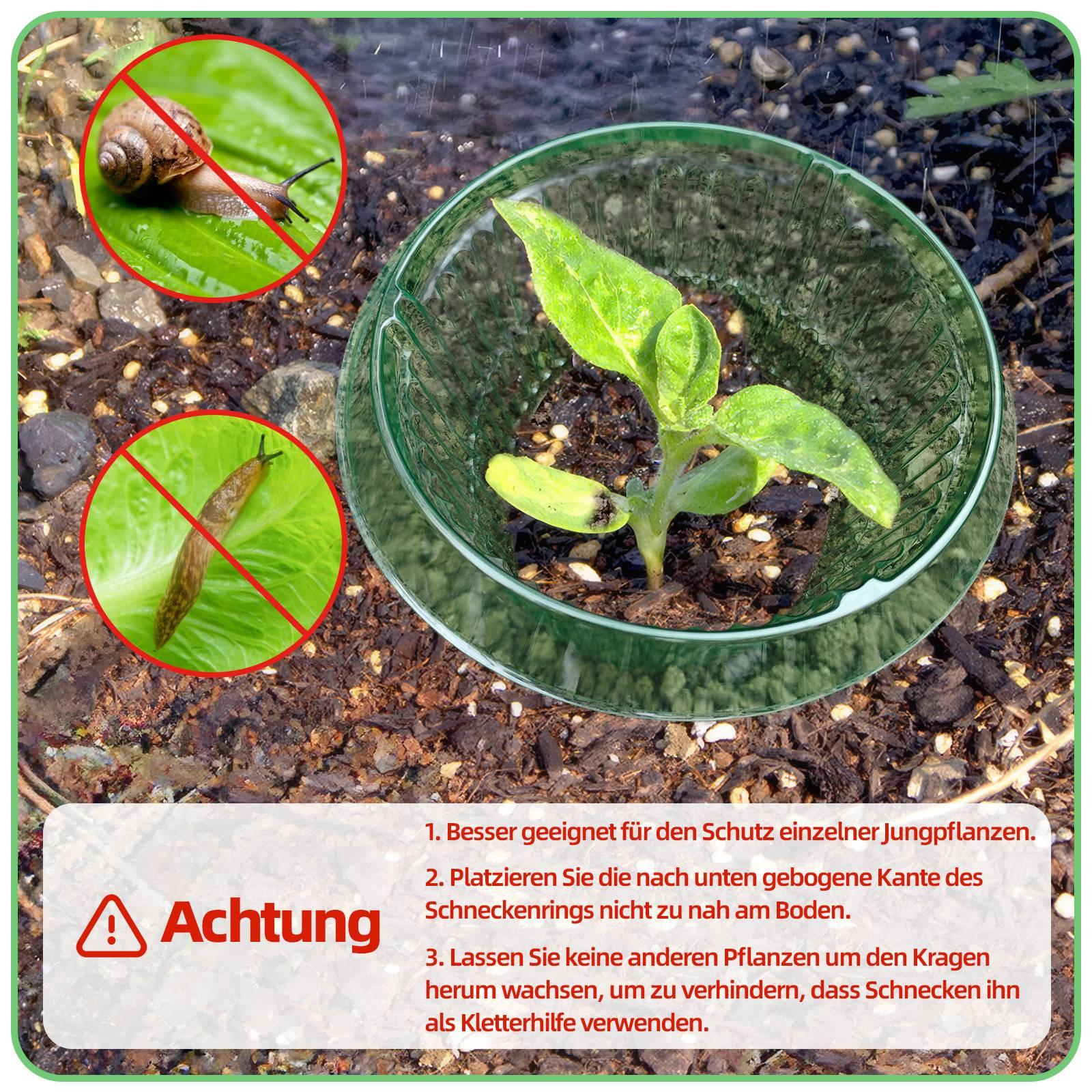 Pflanze im grünen Schutz mit Schnecken- und Nacktschneckenbildern, Warnung vor Nutzung für Jungpflanzen.