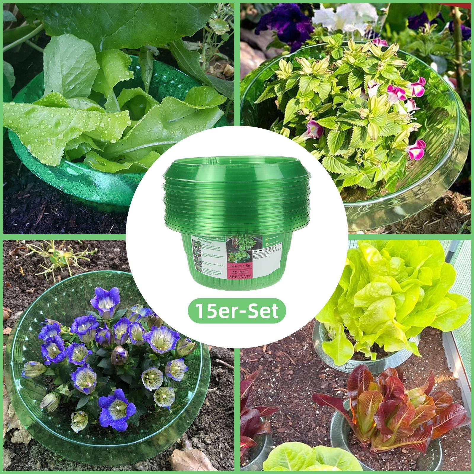 Mehrere Bilder von Pflanzen in grünen Töpfen. Text: '15er-Set'. Pflanzen umfassen Salat und andere Blumen.