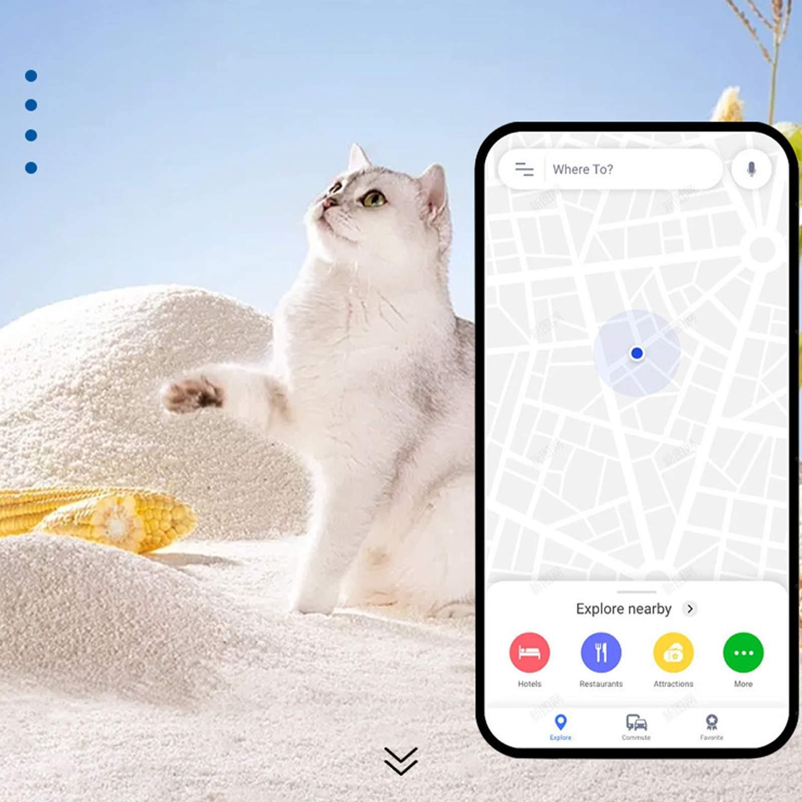 Eine Katze, die nach oben schaut, neben einem Telefonbildschirm, der eine Kartenanwendung anzeigt.