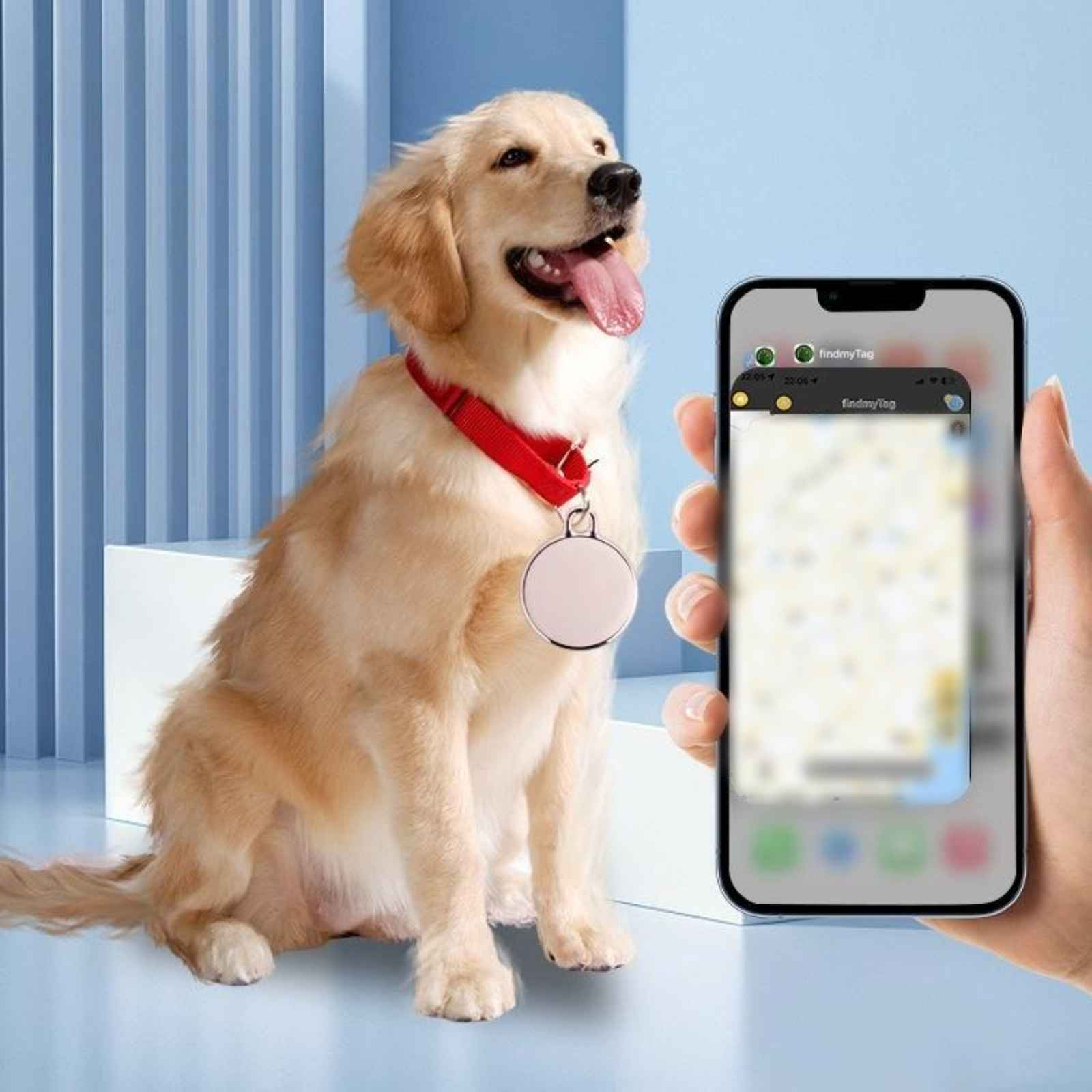 Ein Hund mit einem Anhänger und einem Telefon, das eine Kartenanwendung zeigt, mit einer Hand.