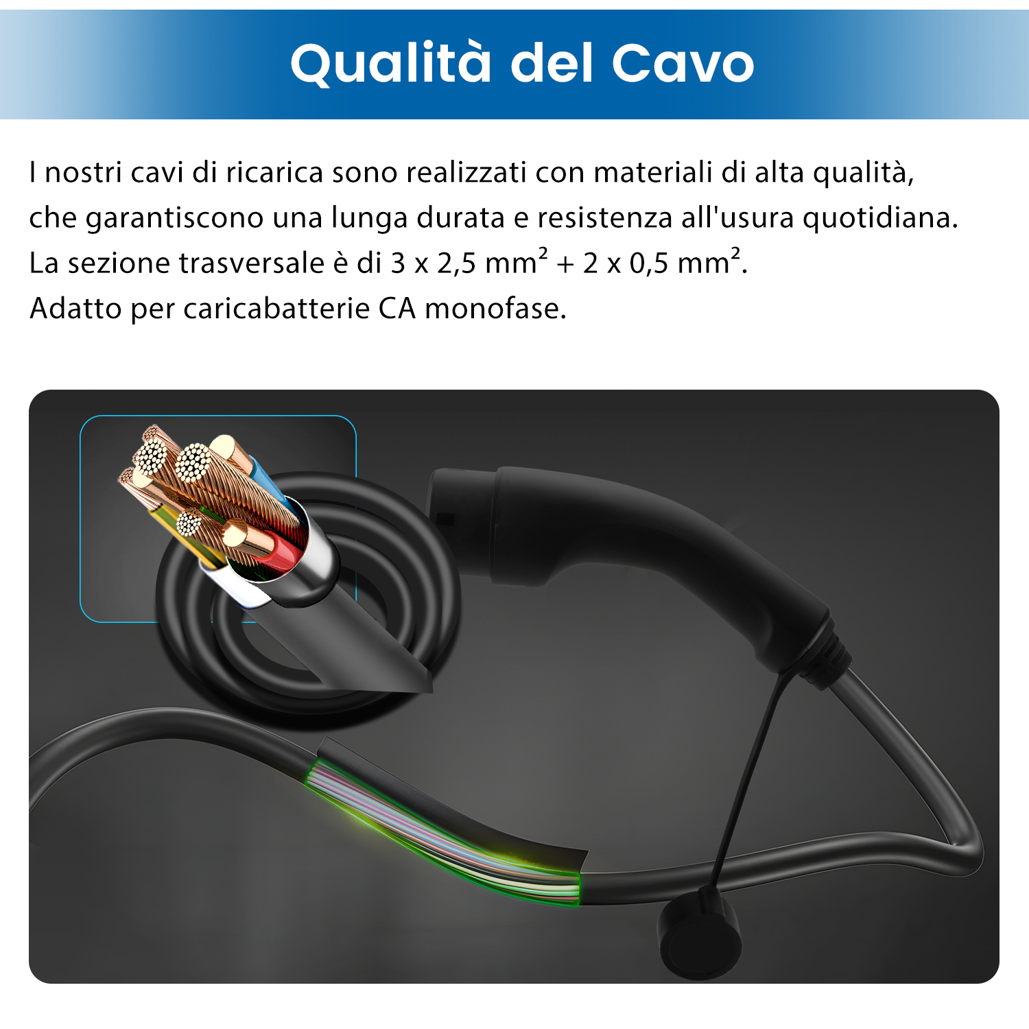 Un'immagine che mostra una sezione trasversale del cavo di ricarica, con i fili interni evidenziati, e una spina di ricarica collegata.
