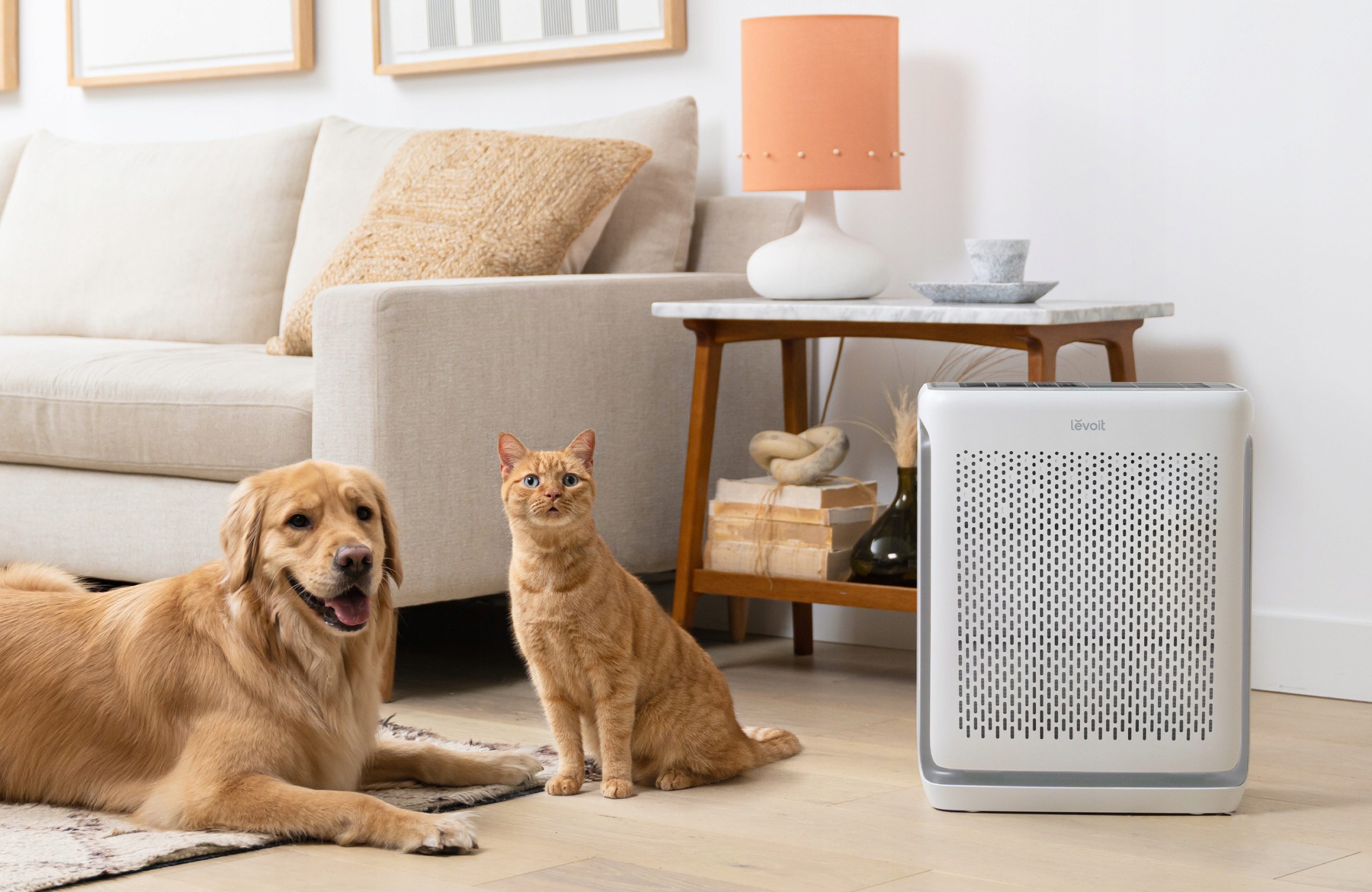 Golden retriever i rudy kot w pobliżu oczyszczacza powietrza, w salonie.