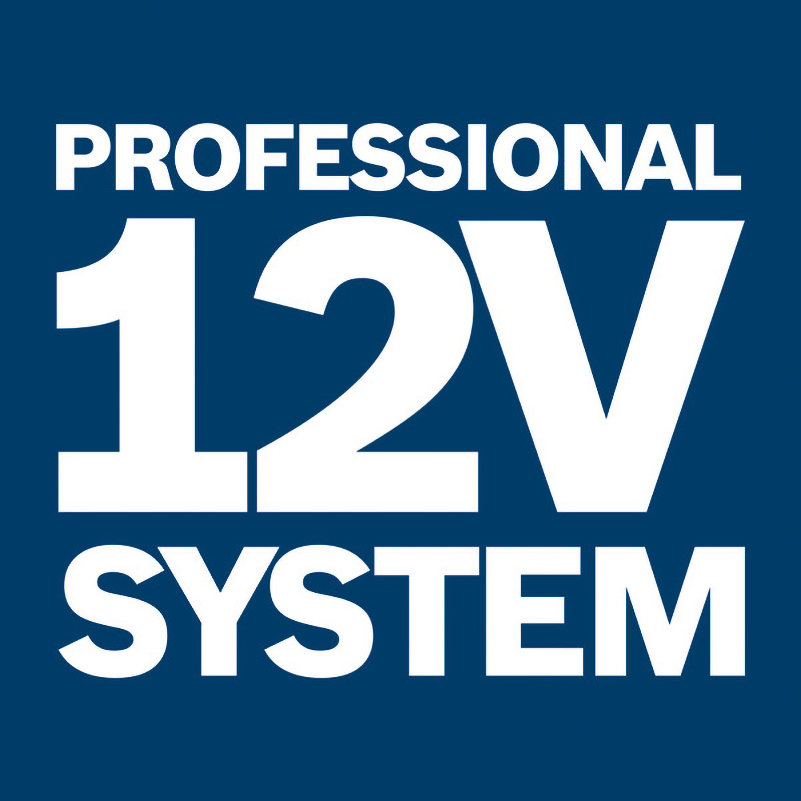 Un quadrato blu con testo bianco che dice 'PROFESSIONAL 12V SYSTEM'.