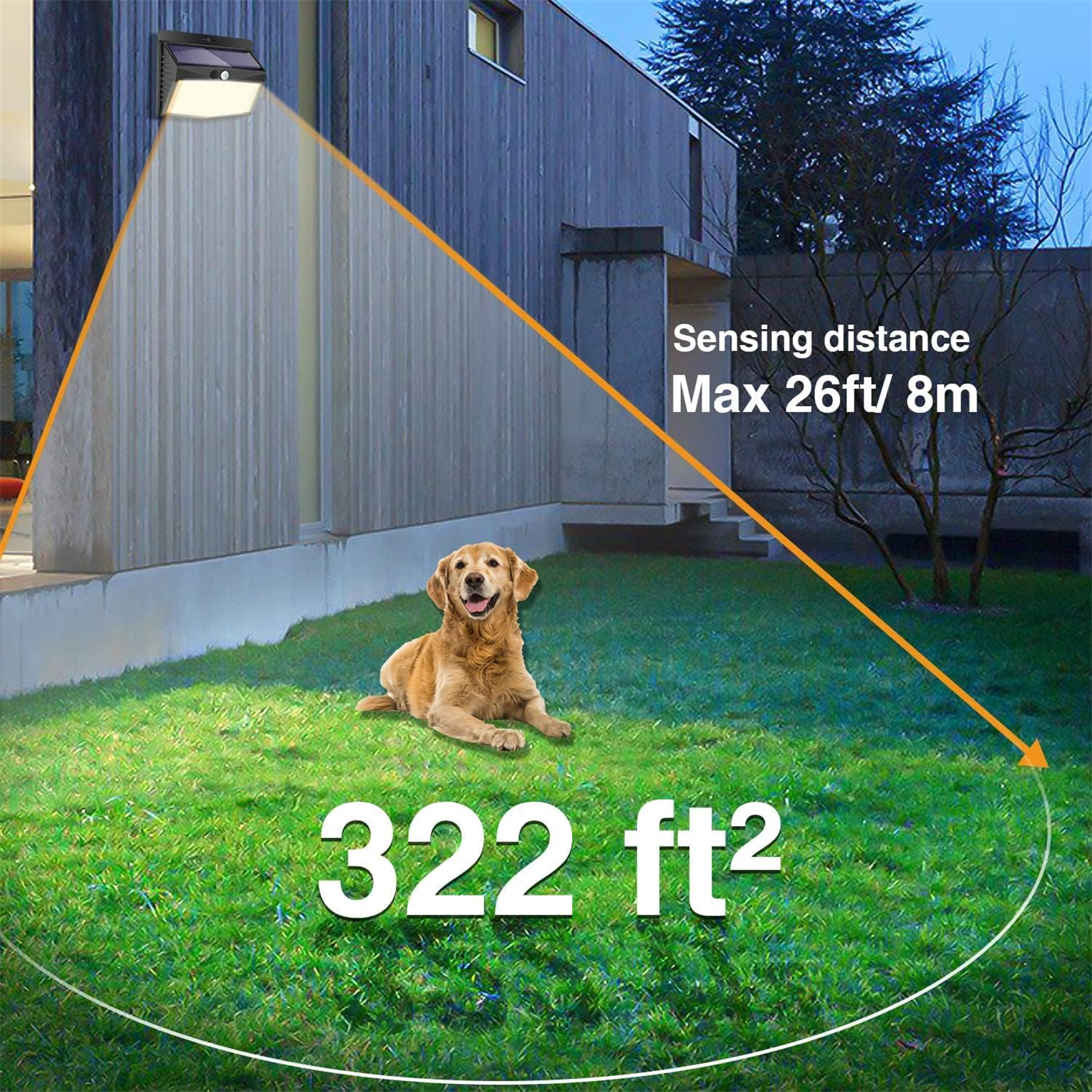 Ein Golden Retriever liegt auf grünem Gras unter einem Scheinwerfer. Ein Haus ist im Hintergrund.