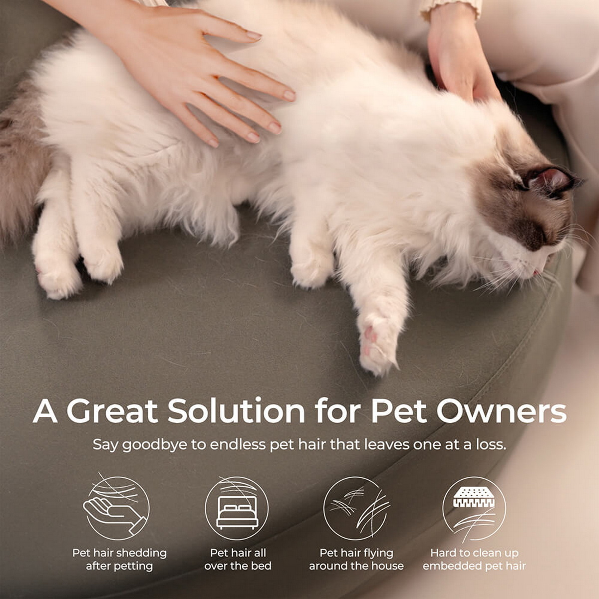 Una persona che accarezza un gatto bianco e soffice. Grafici mostrano la perdita di peli di animali domestici, sul letto, volanti e difficili da rimuovere.