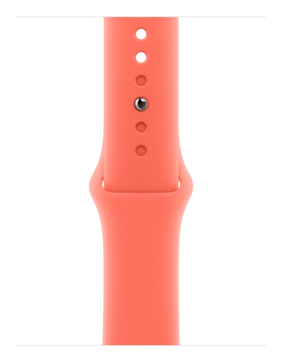 Zbliżenie koralowego paska do zegarka z otworami i srebrną klamrą. Białe tło.