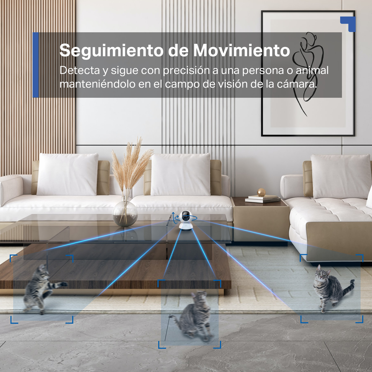 Scena w salonie z kamerą bezpieczeństwa i śledzonymi kotami. Tekst o śledzeniu ruchu.