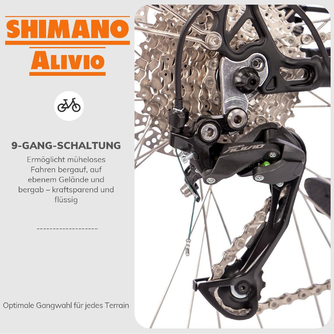 Nahaufnahme des Shimano Alivio-Schaltwerks an einem Fahrrad, wobei Kette und Zahnkranzkassette sichtbar sind.