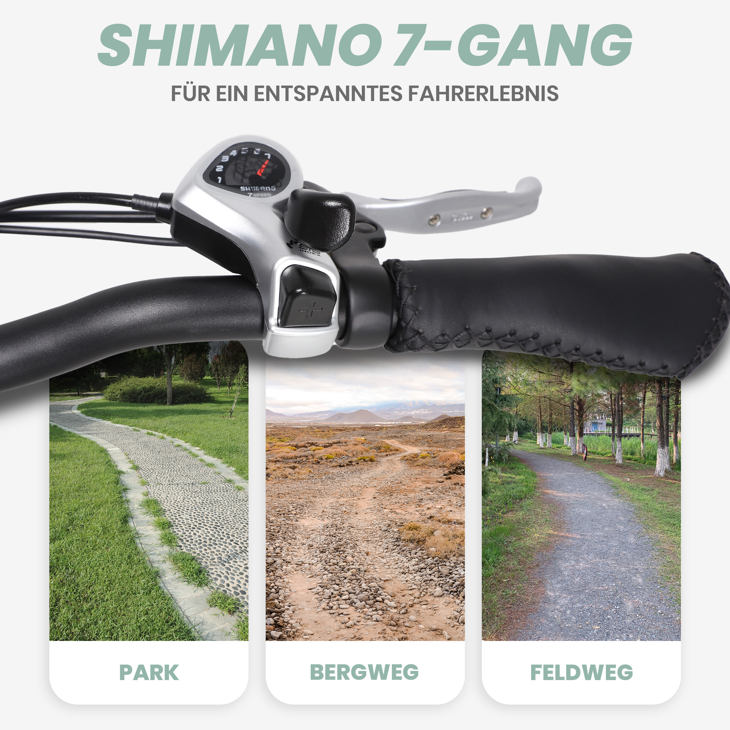 Nahaufnahme des Fahrradlenkers, der Geschwindigkeitsregelung und drei Einsetzbilder von Pfaden: Park, Bergweg und Feldweg.