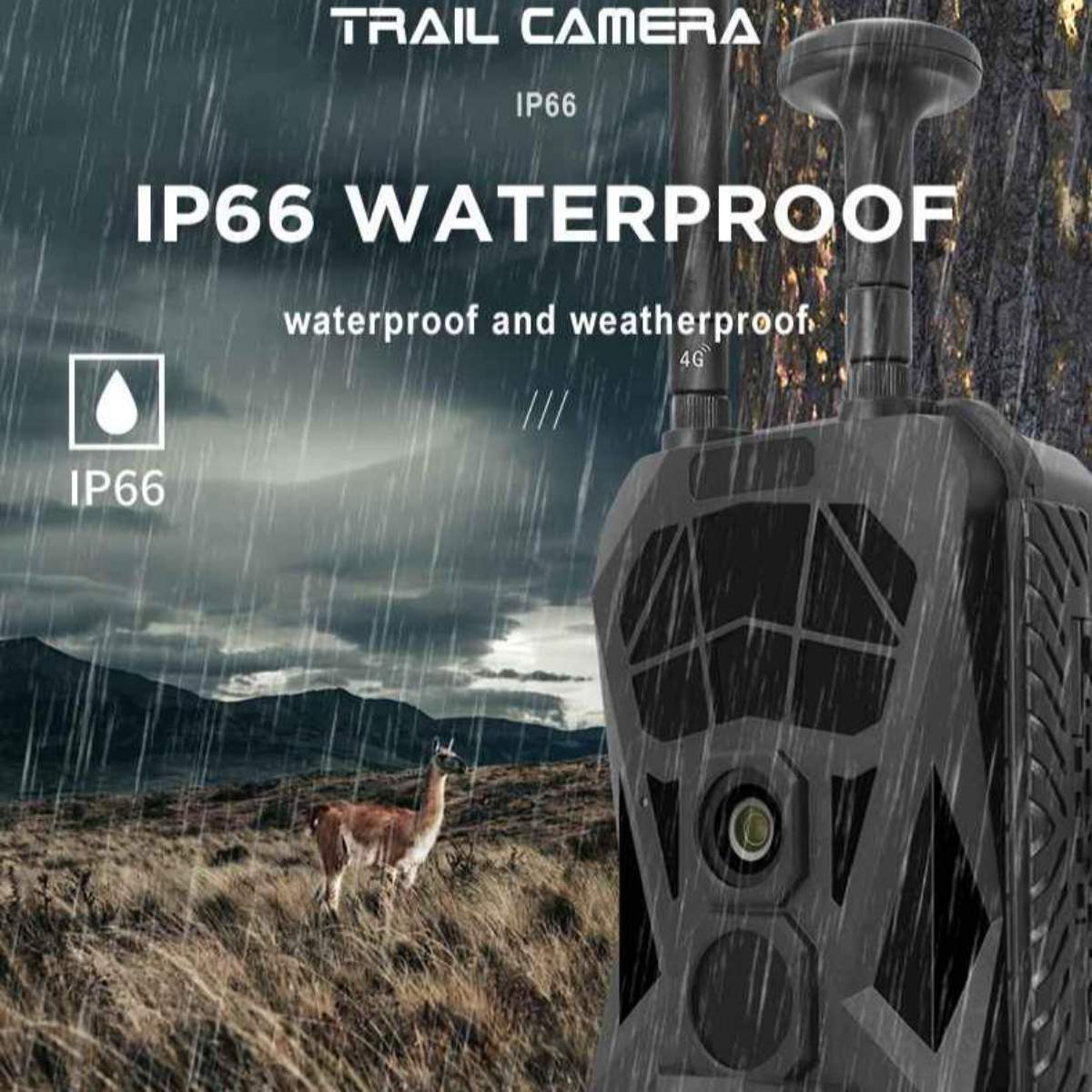 Eine Wildkamera im Regen. Sie ist mit IP66 wasserdicht gekennzeichnet. Im Hintergrund steht ein Hirsch.