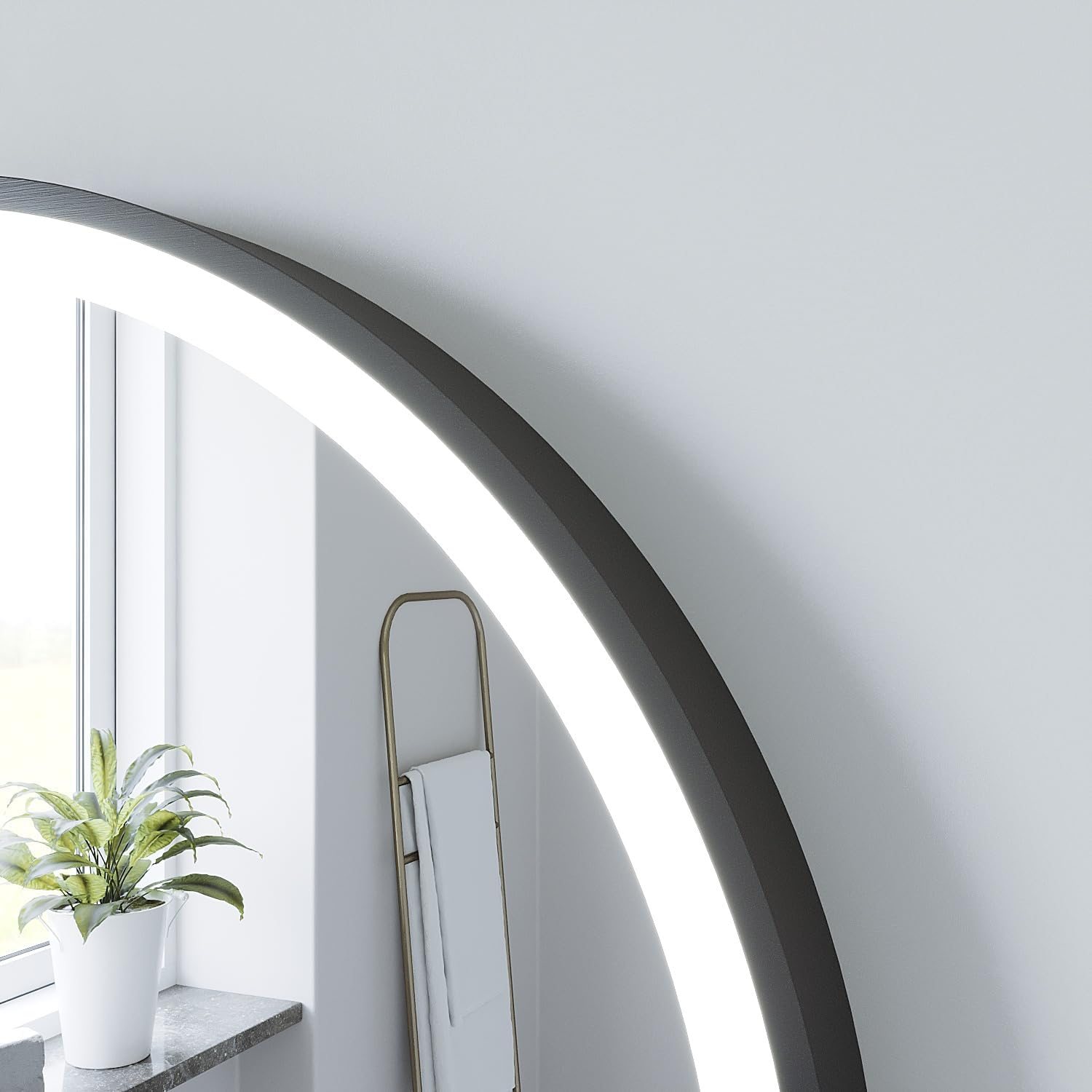 Ein Spiegel mit Licht, eine Pflanze und ein Handtuchhalter.