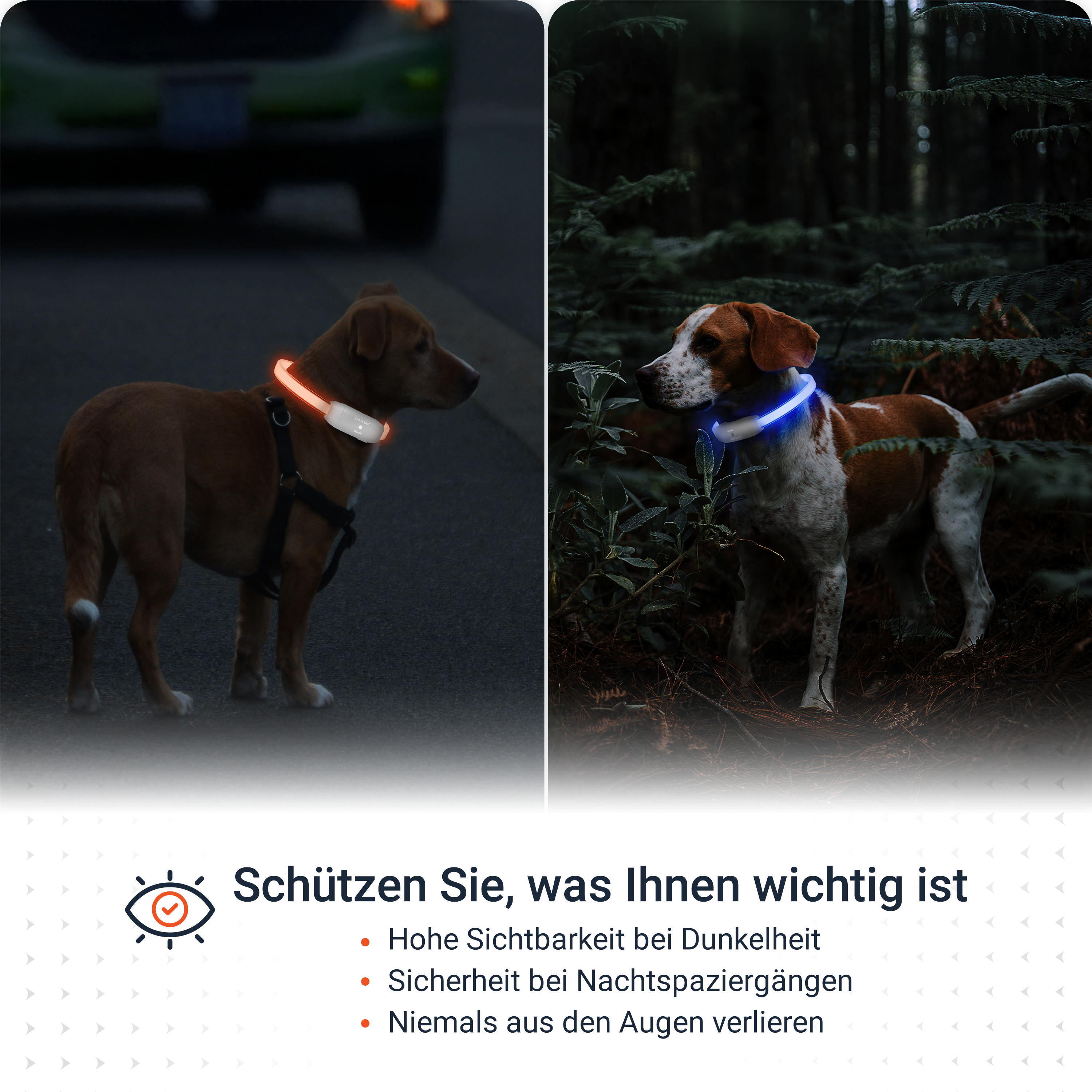 PAJ GPS PAJ Light | stark leuchtendes LED Leuchthalsband Hundehalsband |  MediaMarkt