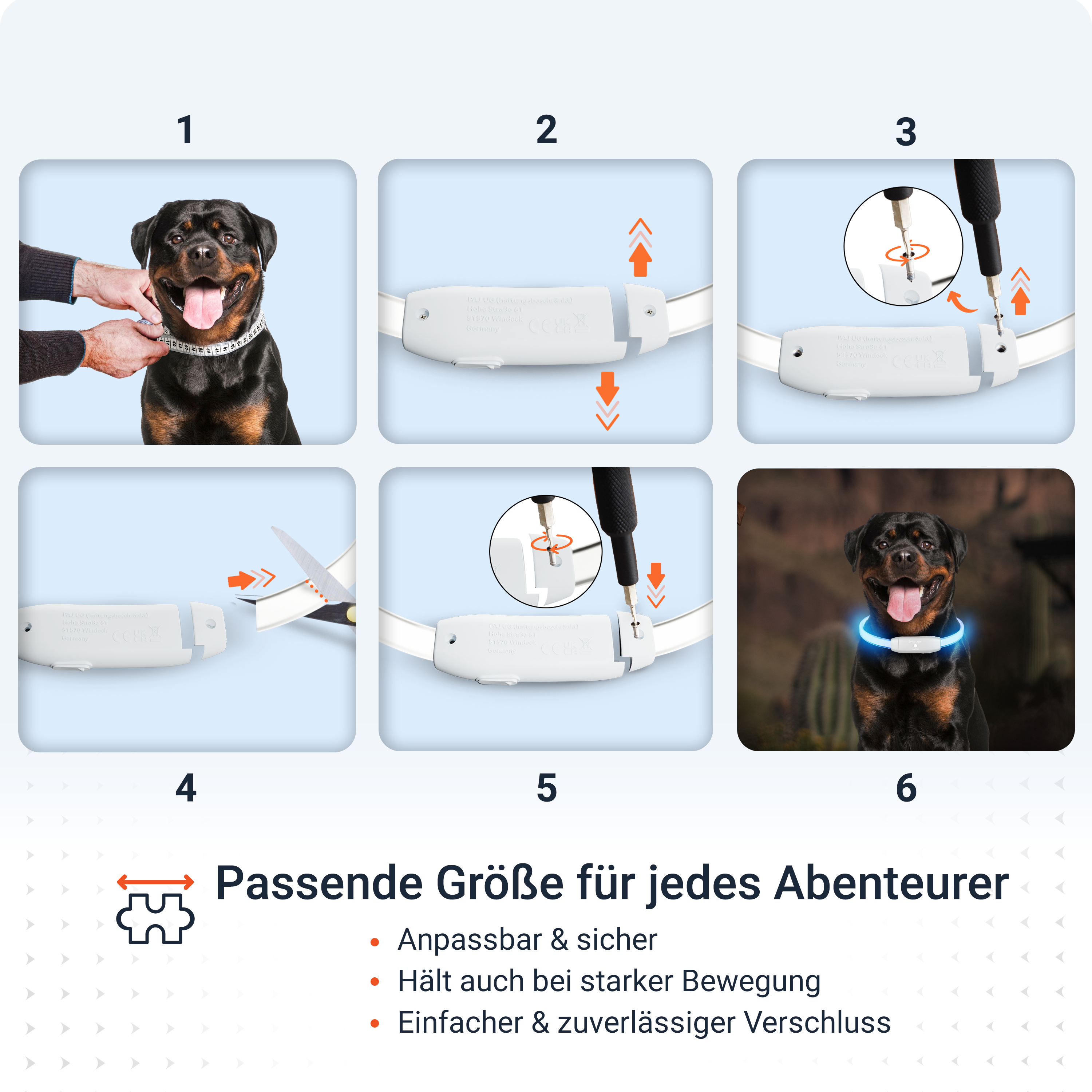 Schritt-für-Schritt-Anleitung zum Anpassen eines Hunde-Halsbands.