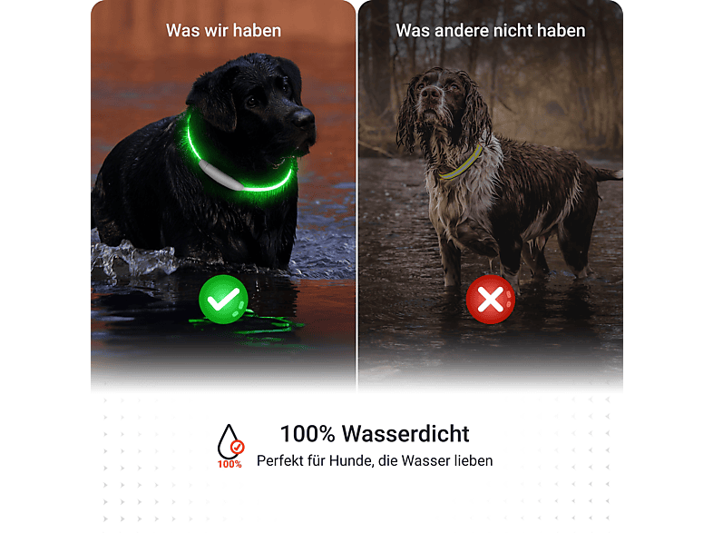 PAJ GPS PAJ Light | stark leuchtendes LED Leuchthalsband Hundehalsband |  MediaMarkt