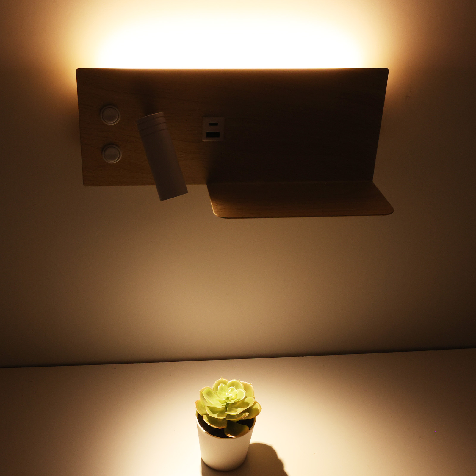Una lámpara dorada montada en la pared, una pequeña planta suculenta y una pared blanca con luz cálida.