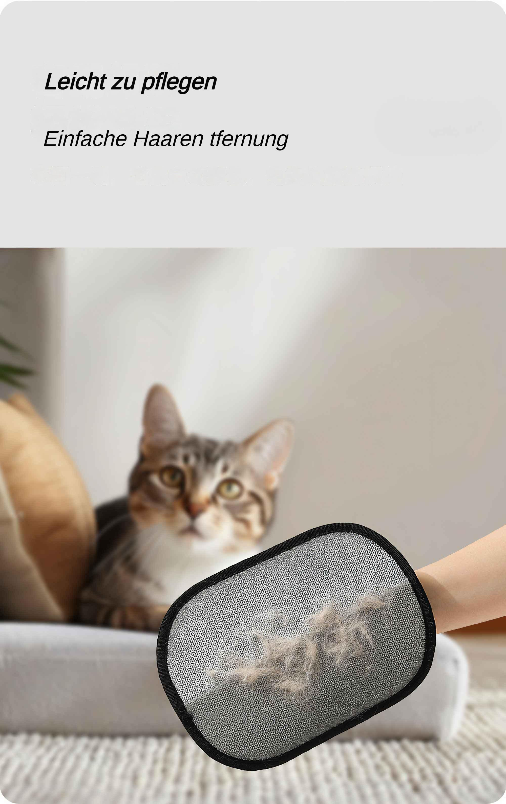 Eine Hand hält ein Katzenhaarentfernungswerkzeug über einer Katze. Die Katze ist braun getigert und liegt auf einem Sofa.