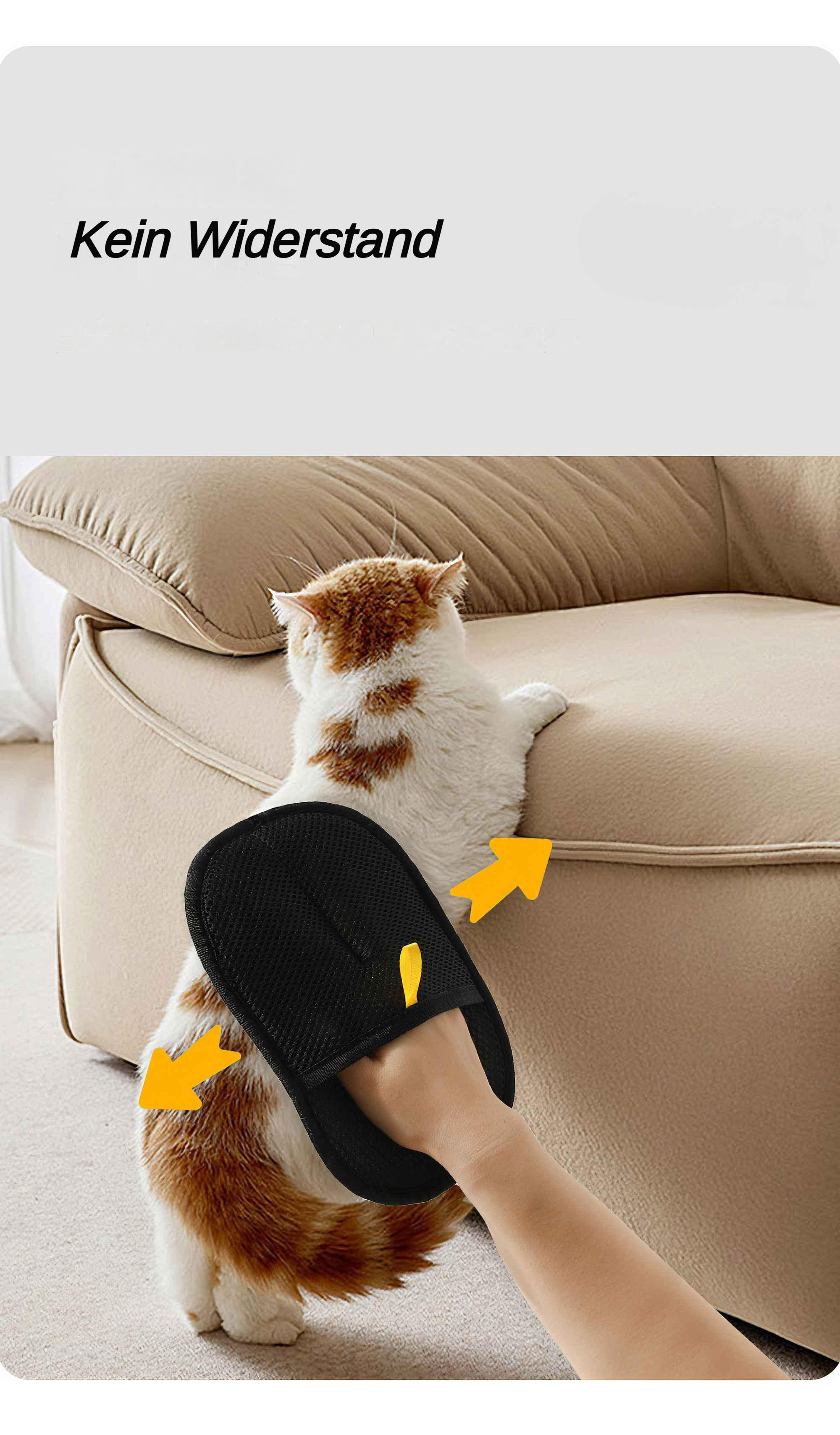 Eine Hand benutzt ein Tierhaar-Entfernungswerkzeug an einer Katze, die sich auf einem Sofa befindet.