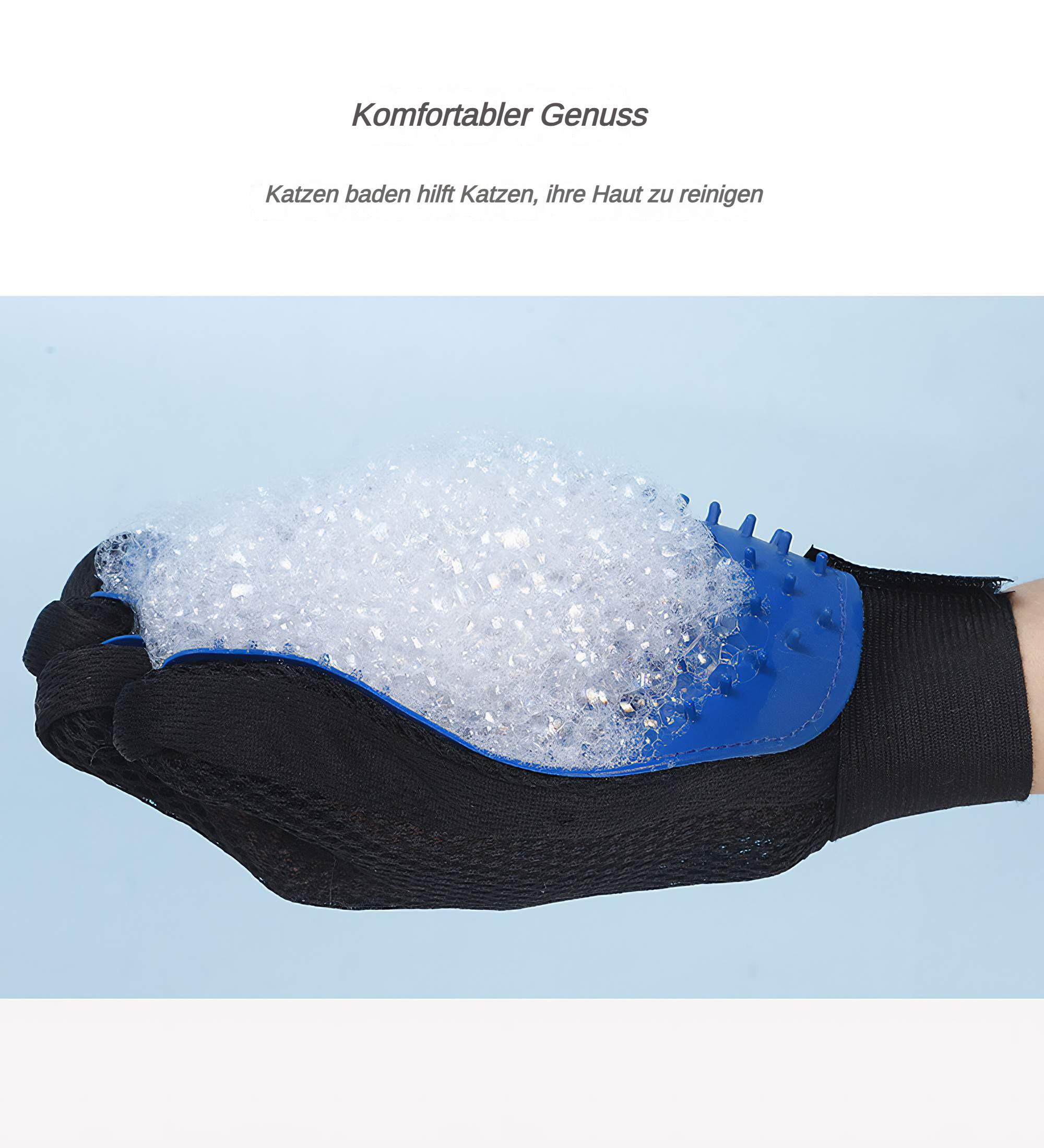 Behandschuhte Hand mit blauen Borsten schäumt eine Katze auf blauem Hintergrund ein.